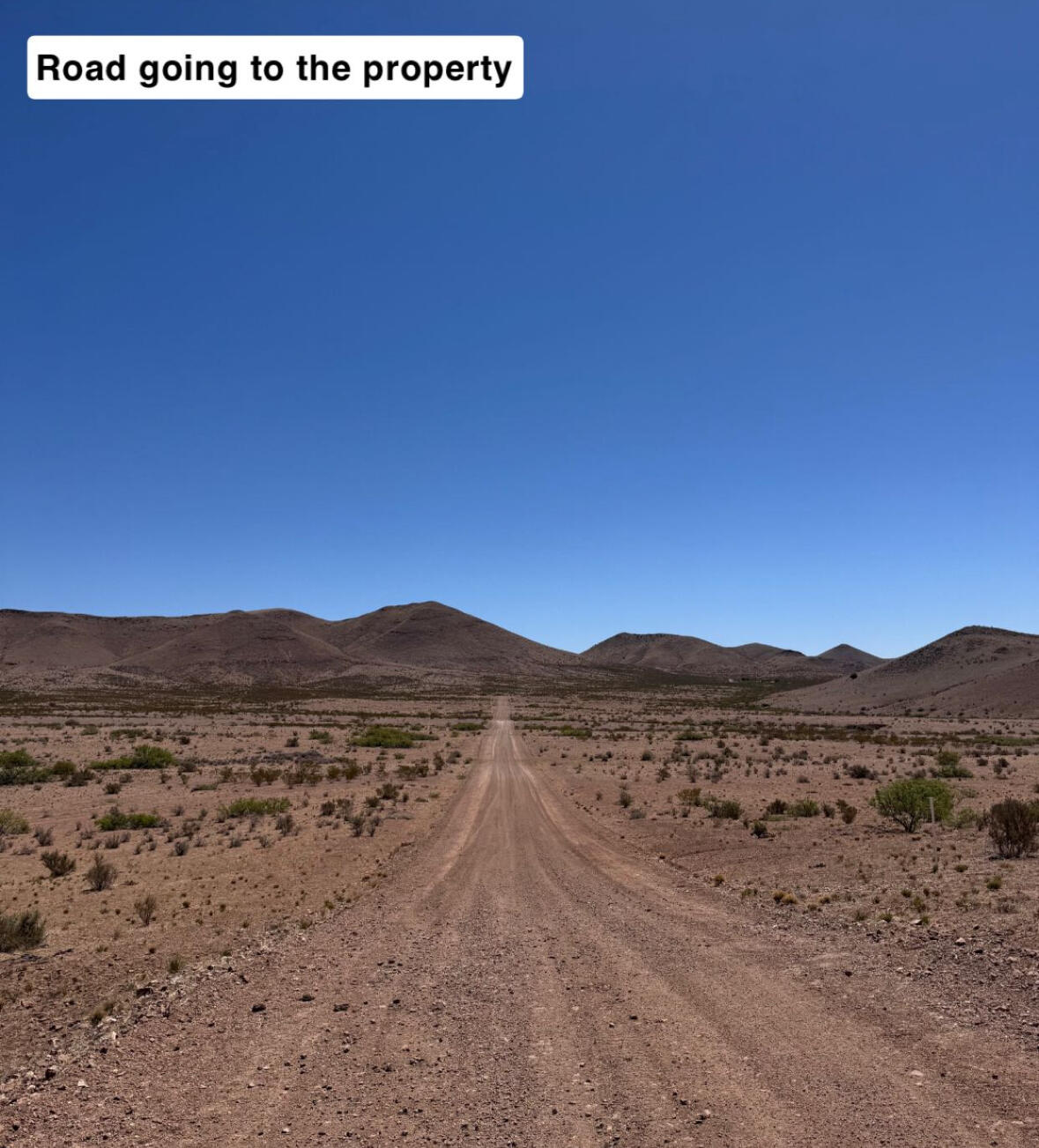 663 Willow Springs Ranch Road