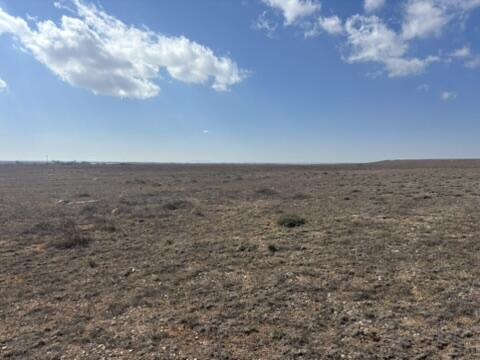 Antelope Sprngs Lot 35, 61, 62 Drive, Estancia, New Mexico image 15