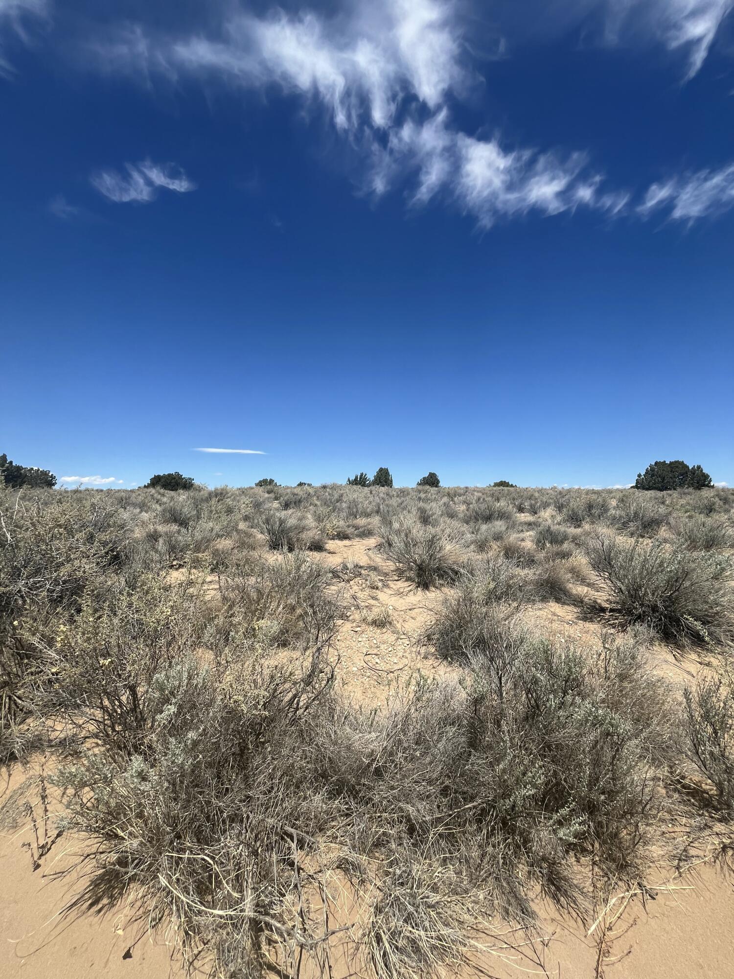 3217 23rd Avenue, Rio Rancho, New Mexico image 2