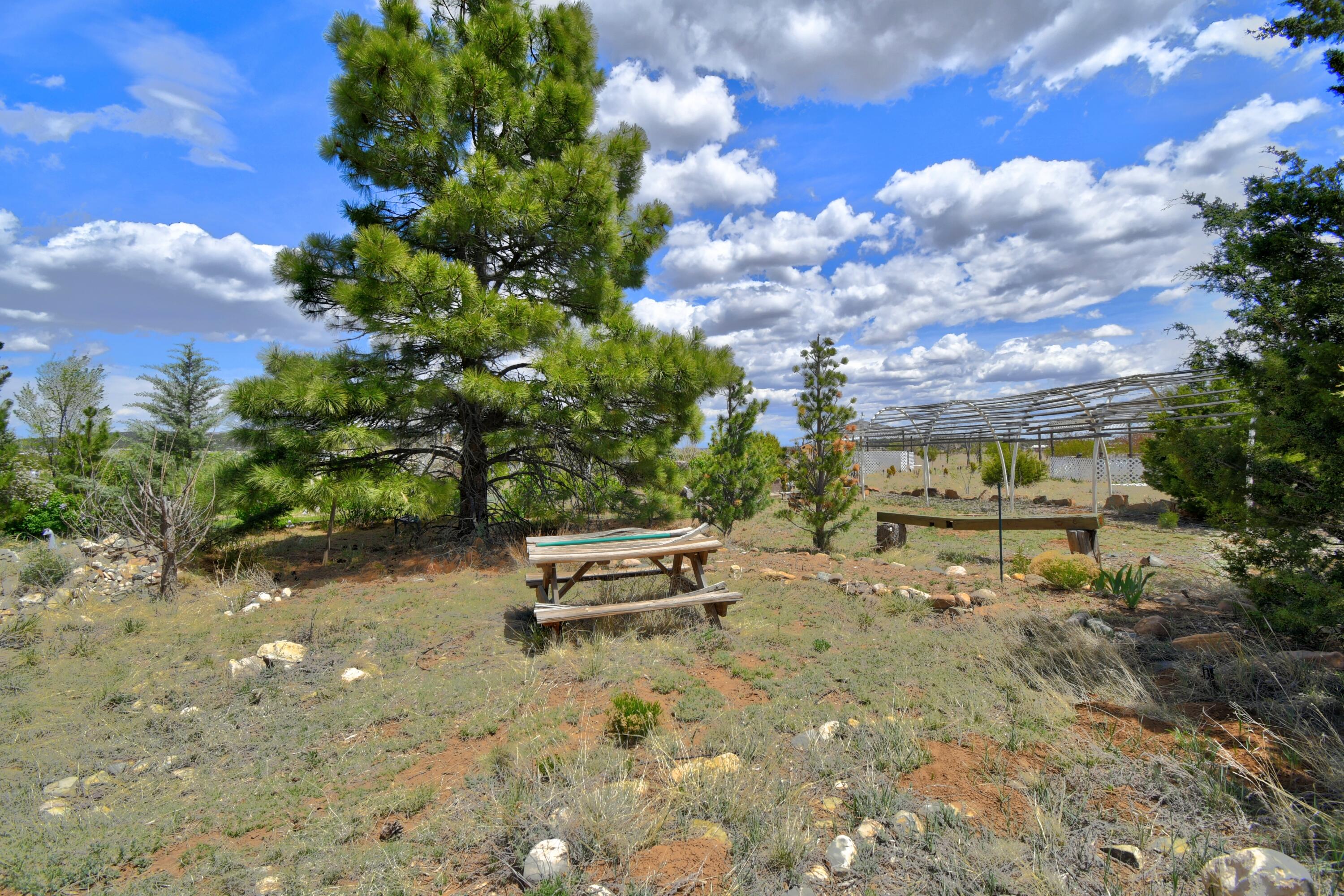 20 Reubens Lane, Edgewood, New Mexico image 10
