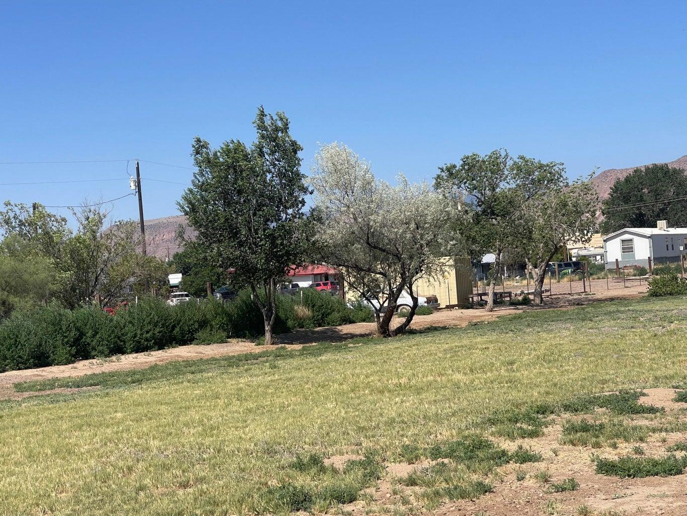 916 6th Street, Socorro, New Mexico image 9