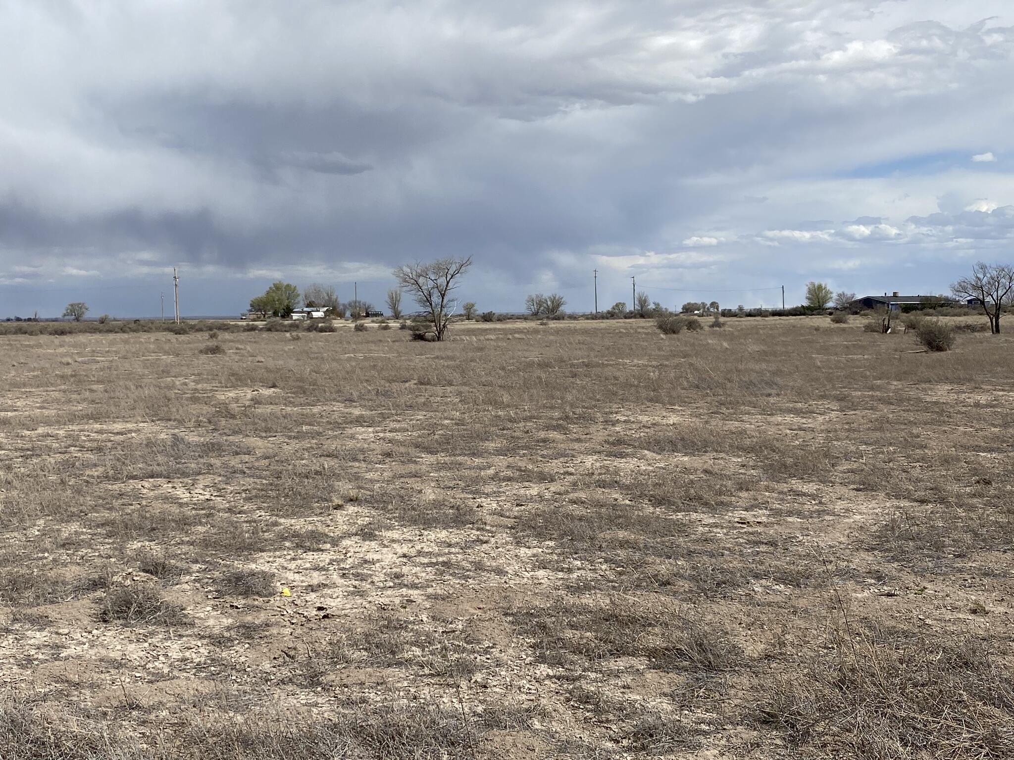 Albert Lane, McIntosh, New Mexico image 4