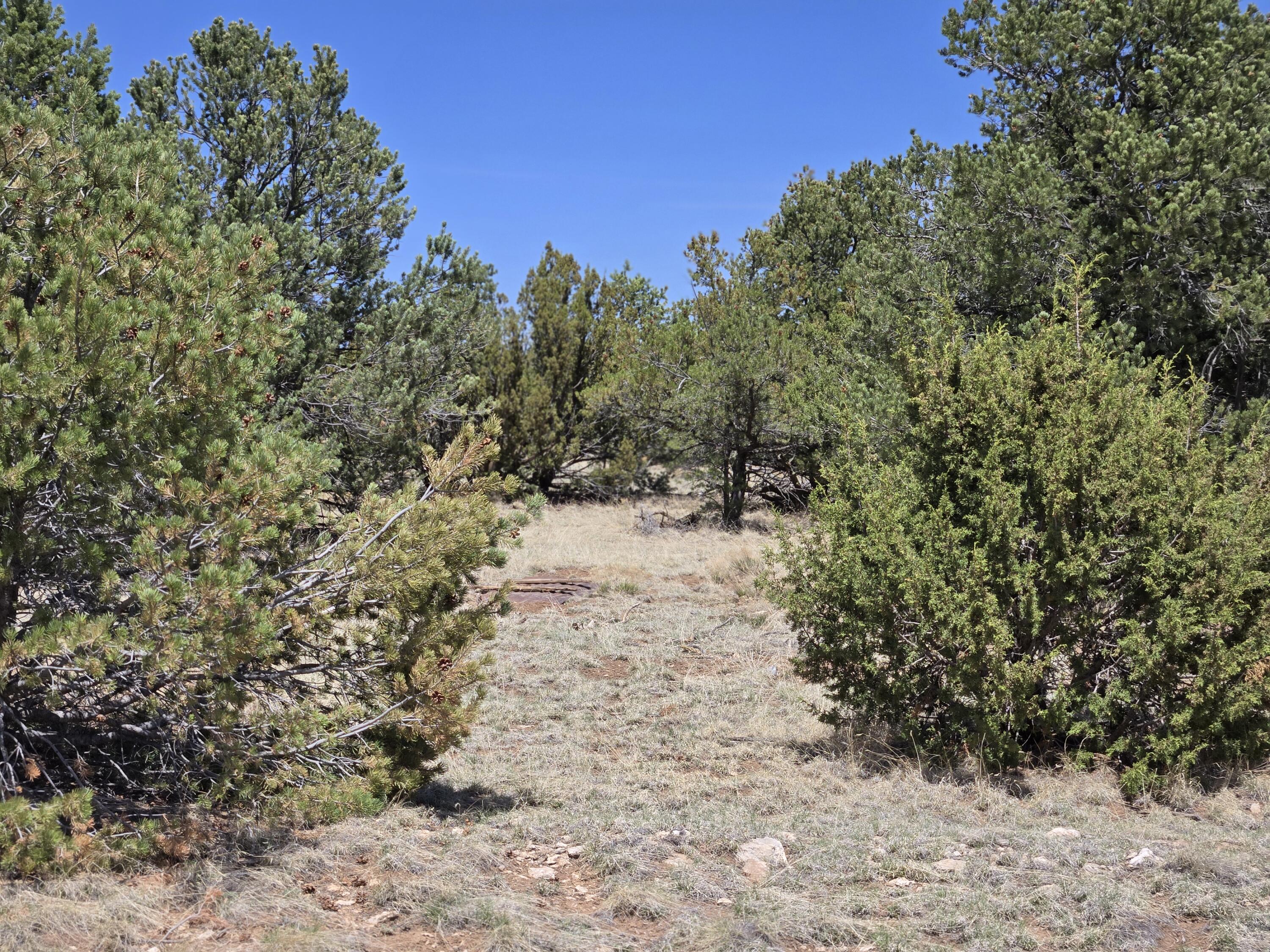County Road A102 Lot 3, Tajique, New Mexico image 10