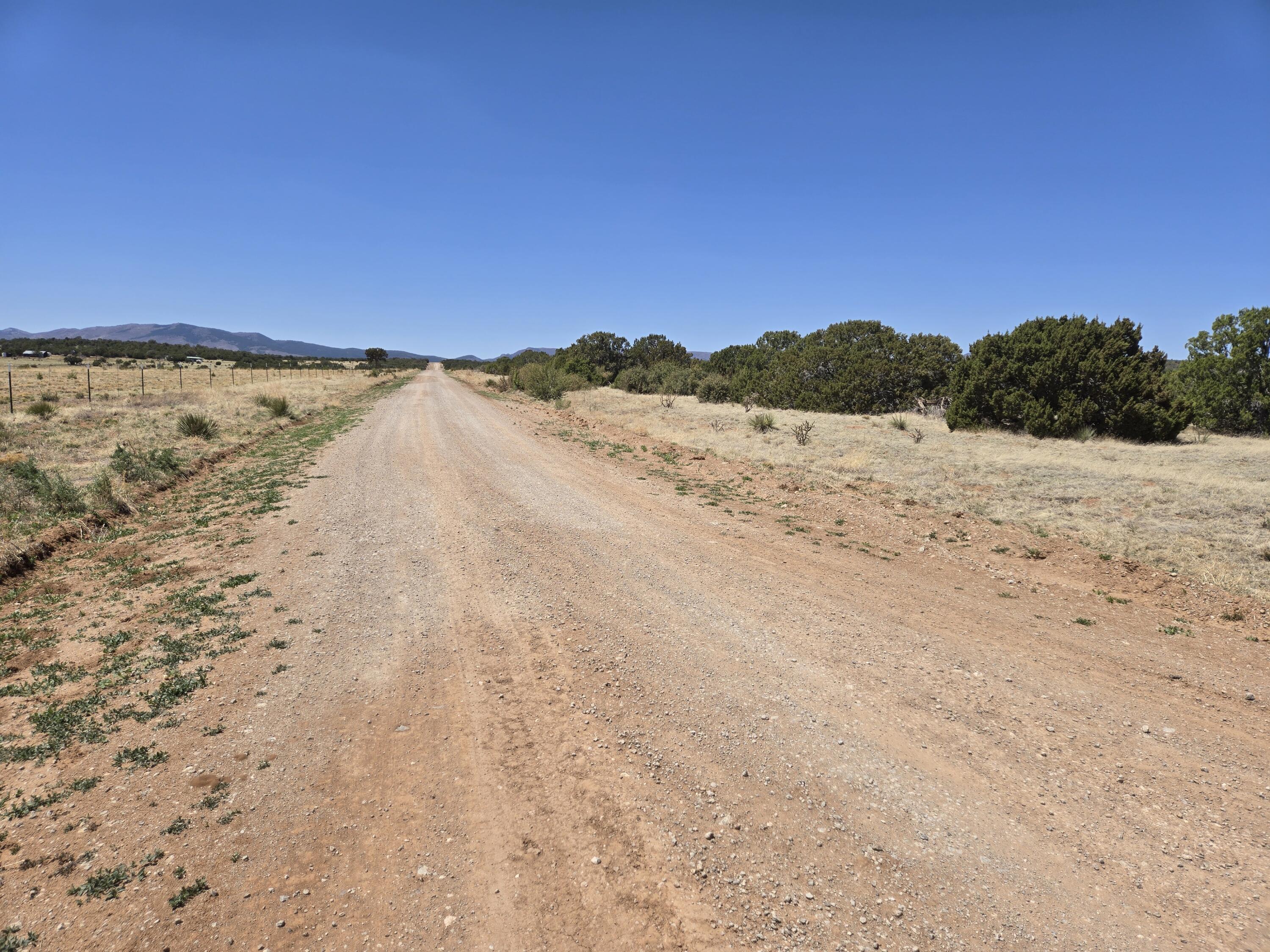 County Road A102 Lot 3, Tajique, New Mexico image 6
