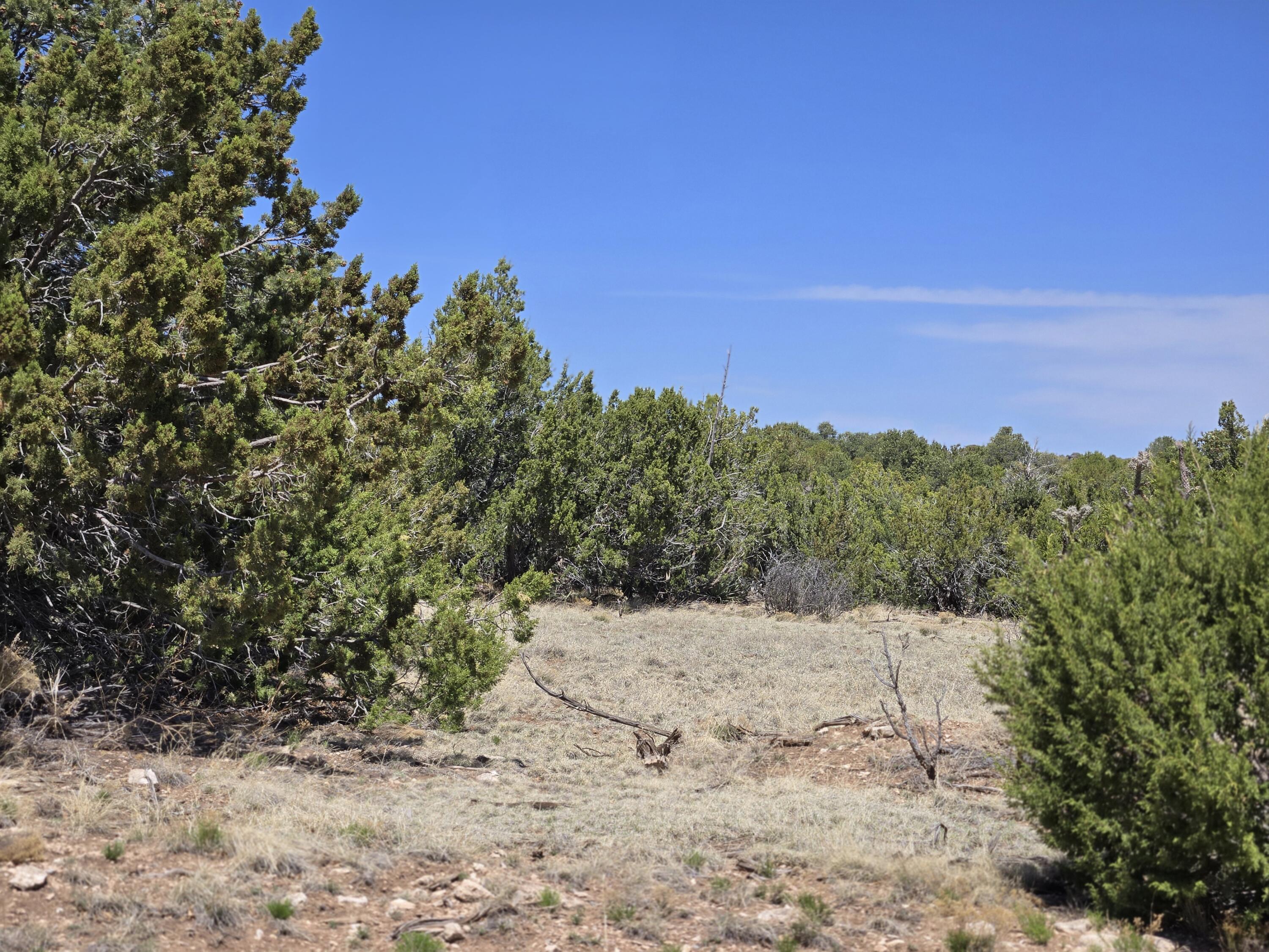 County Road A102 Lot 3, Tajique, New Mexico image 12