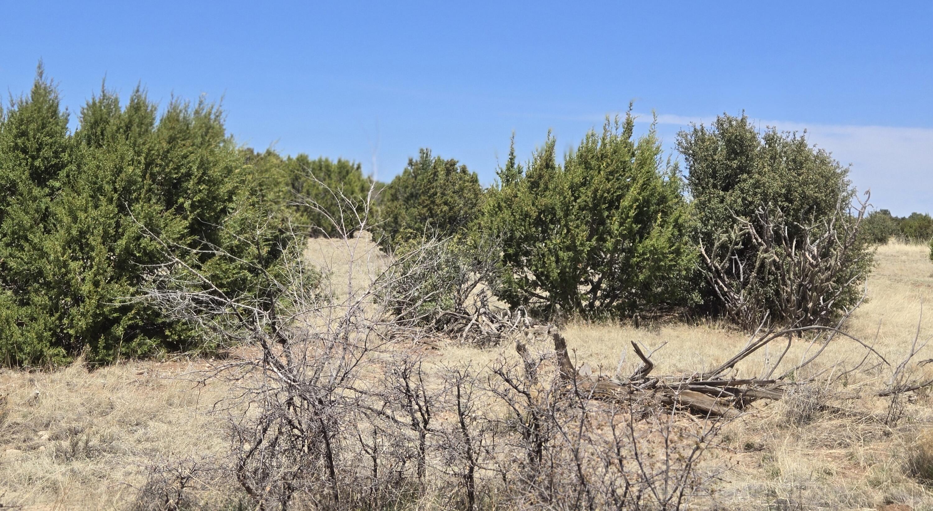 County Road A102 Lot 3, Tajique, New Mexico image 11