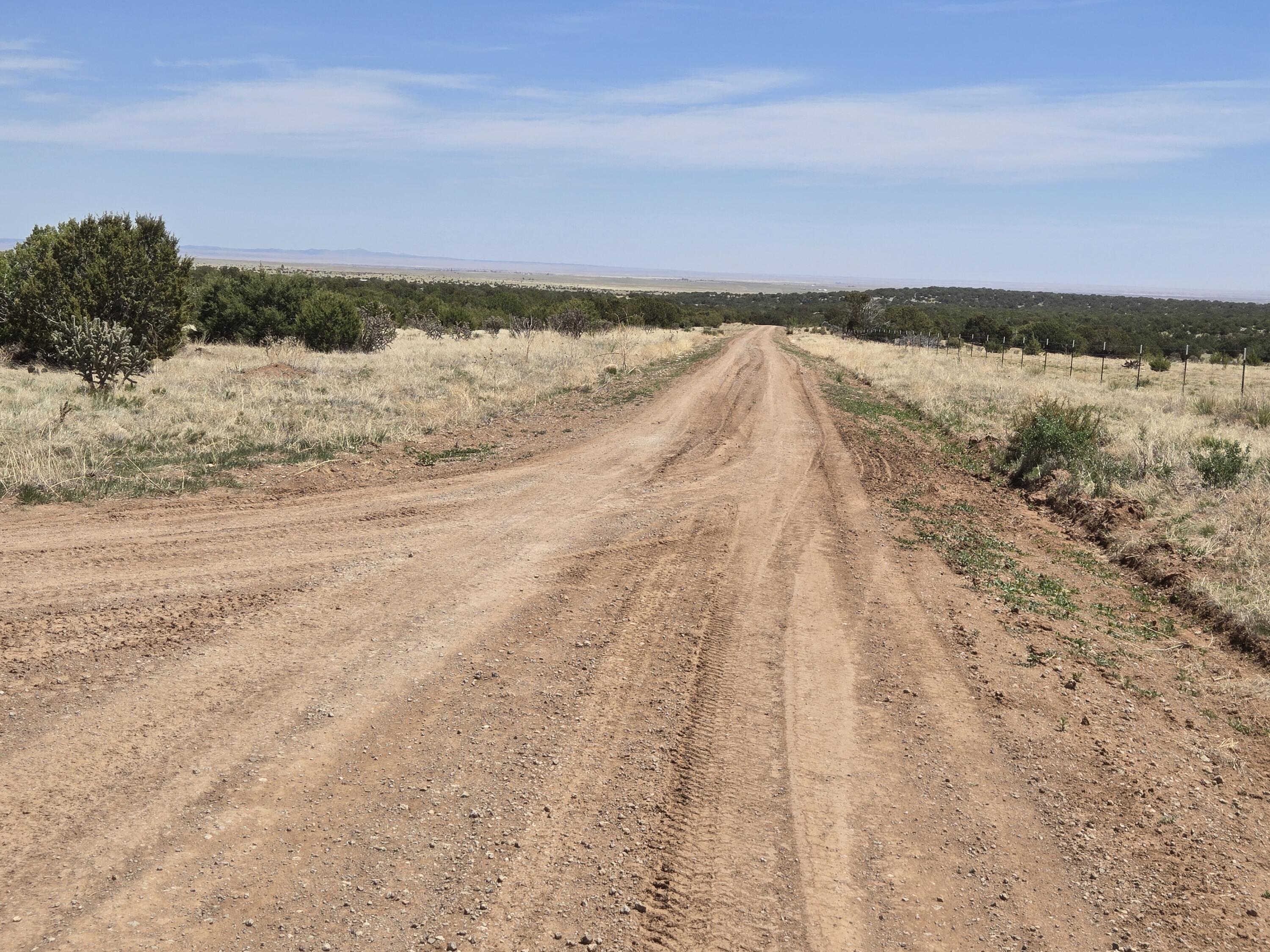 County Road A102 Lot 3, Tajique, New Mexico image 9