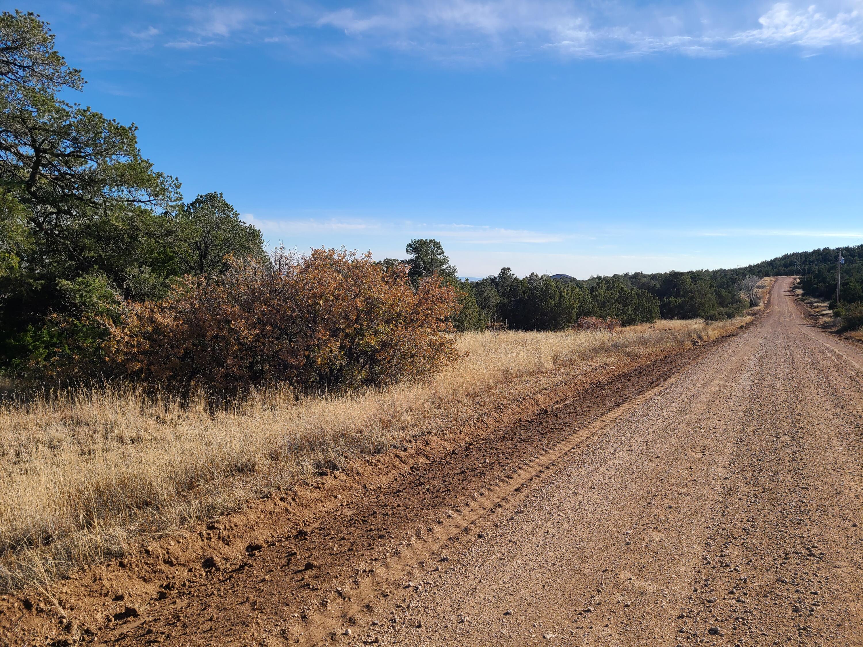 County Road A102 Lot 3, Tajique, New Mexico image 5
