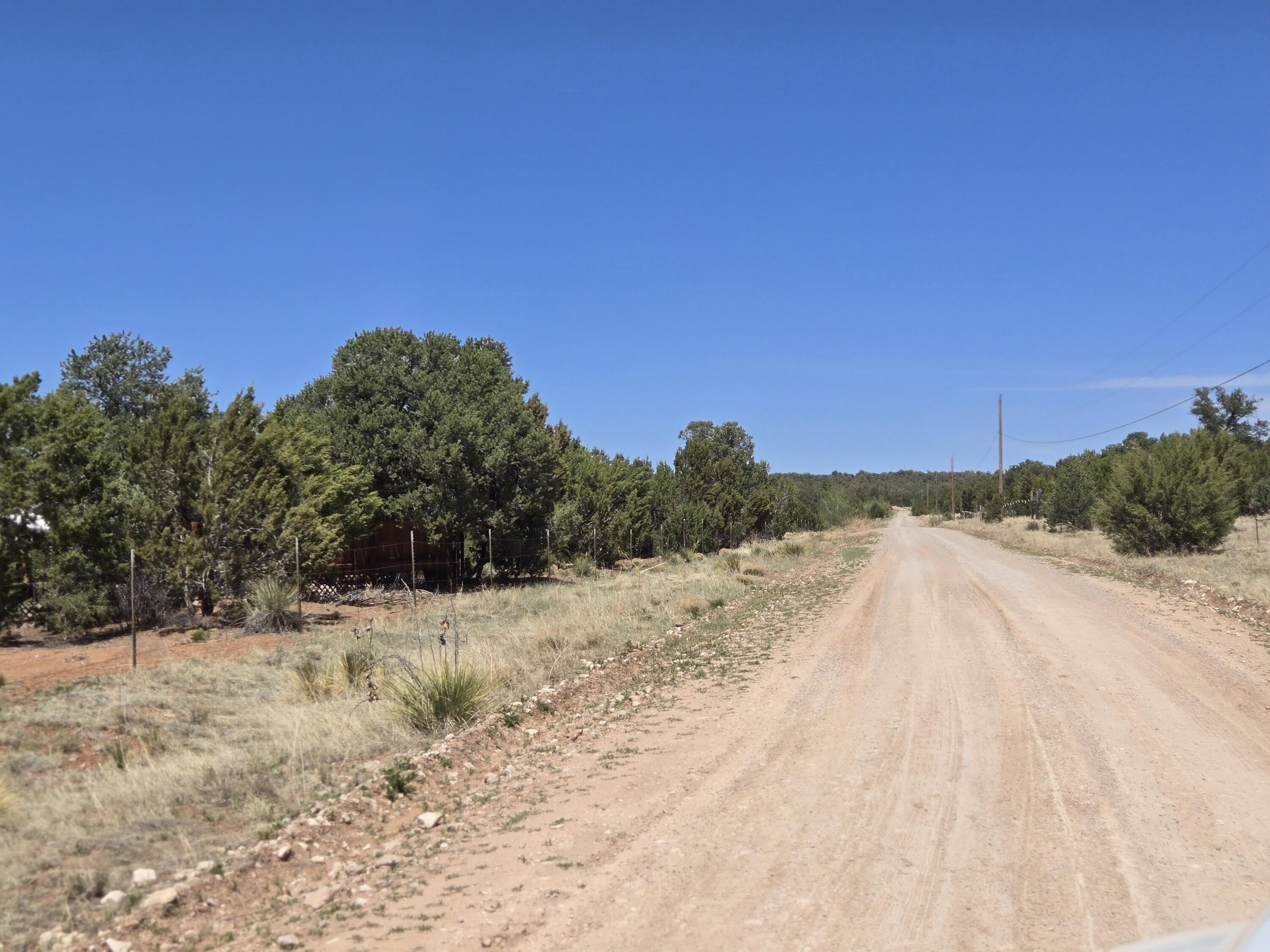 County Road A102 Lot 3, Tajique, New Mexico image 8