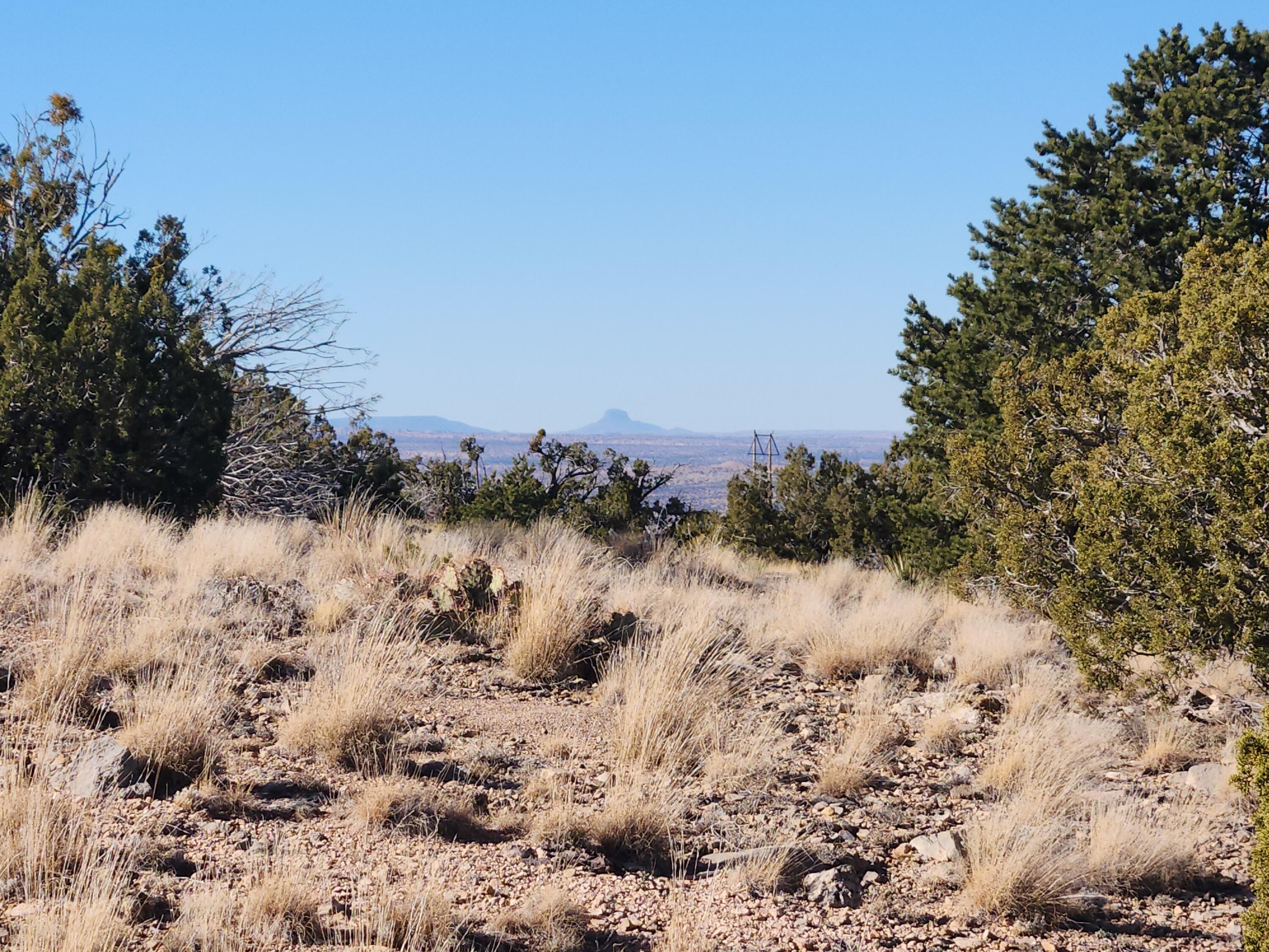 14 QUAIL MEADOW ROAD