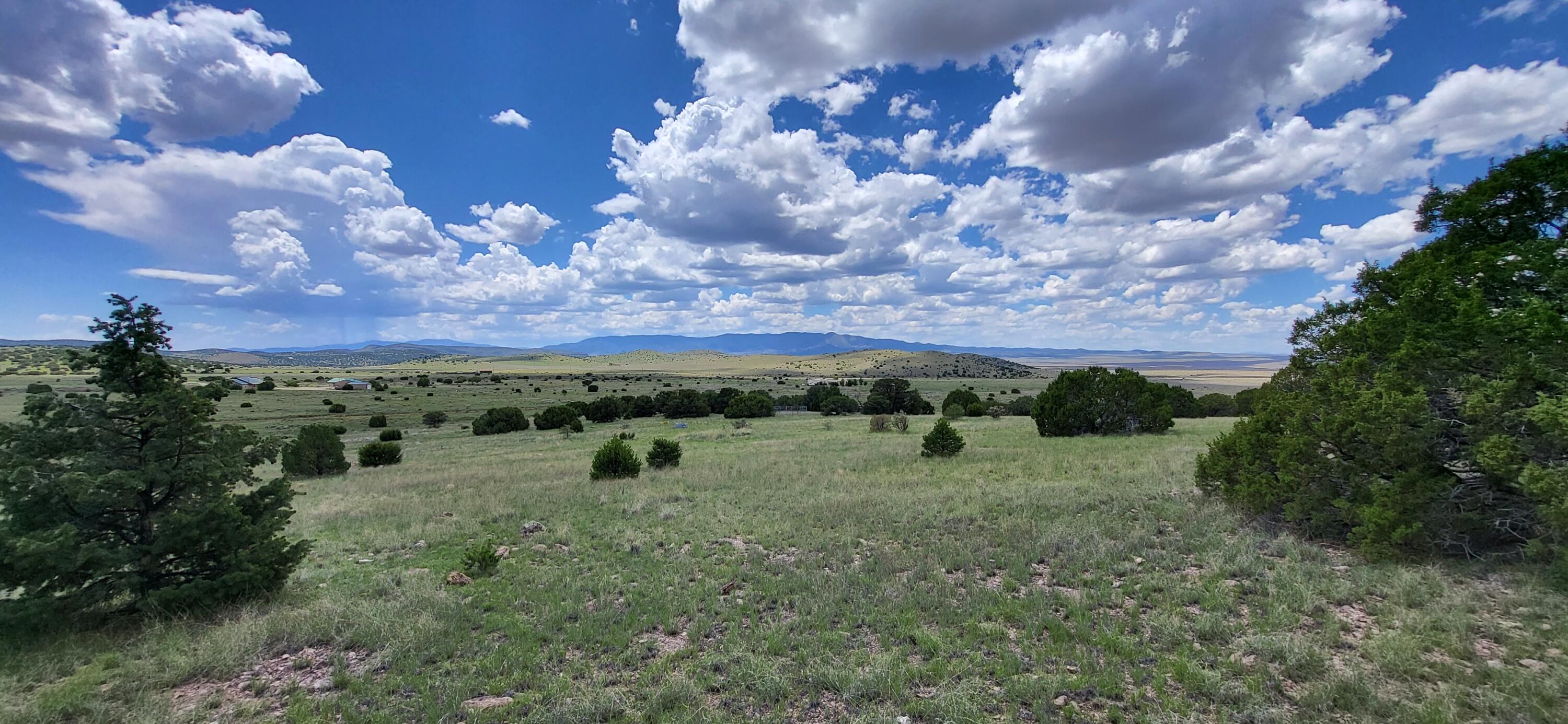 38.9 Acres Dark Canyon, Magdalena, New Mexico image 4