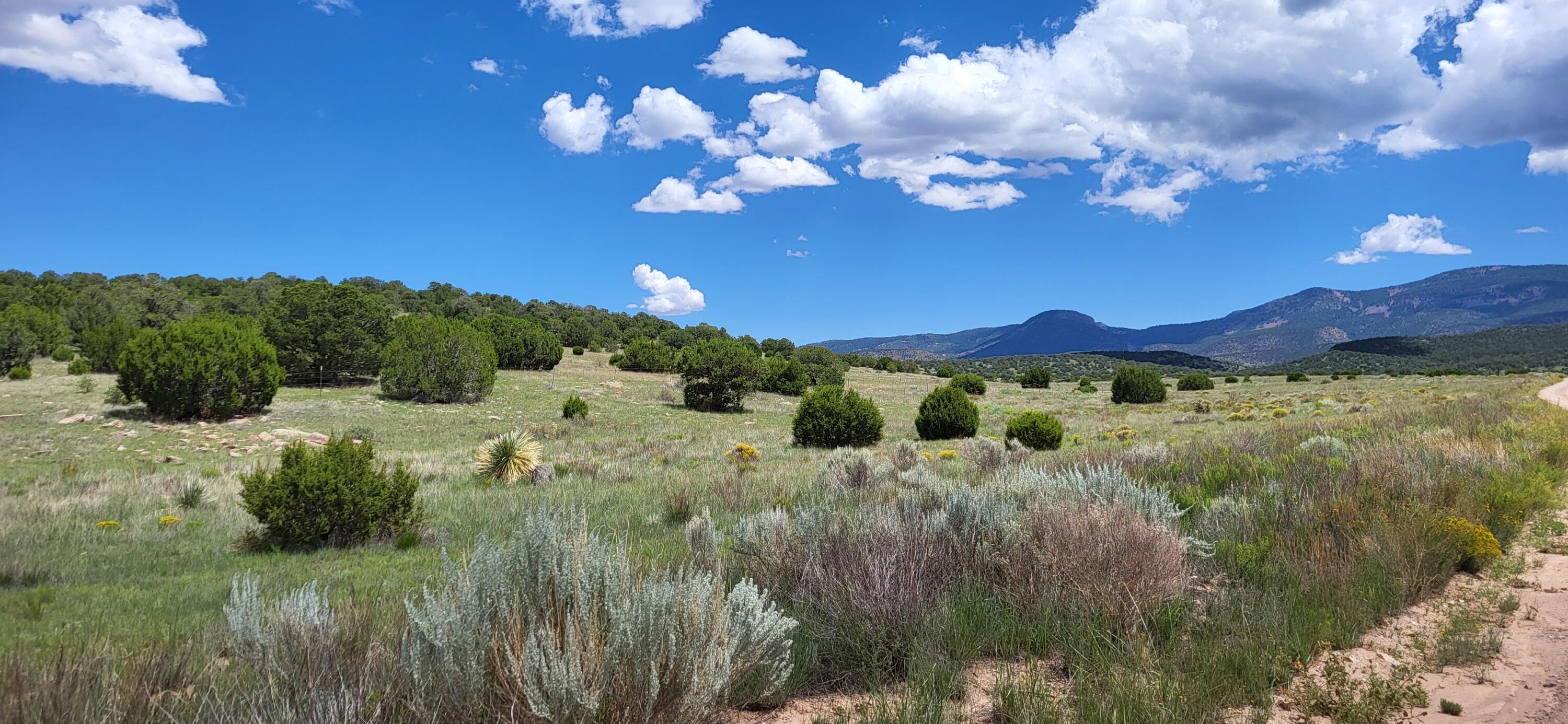 38.9 Acres Dark Canyon, Magdalena, New Mexico image 3