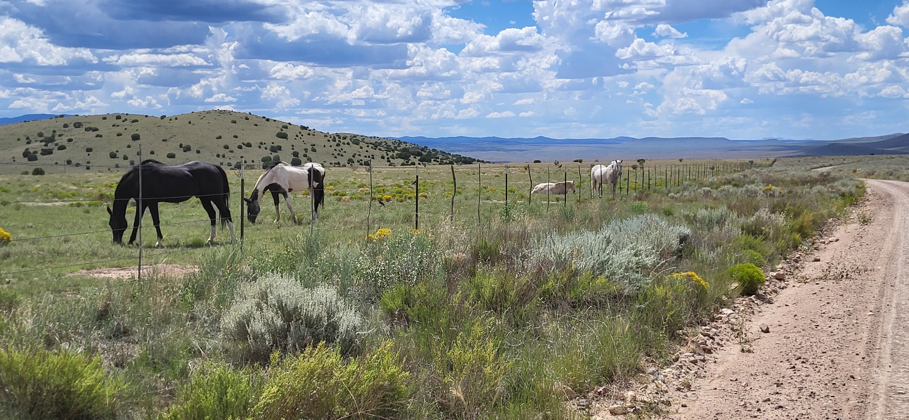 38.9 Acres Dark Canyon, Magdalena, New Mexico image 5