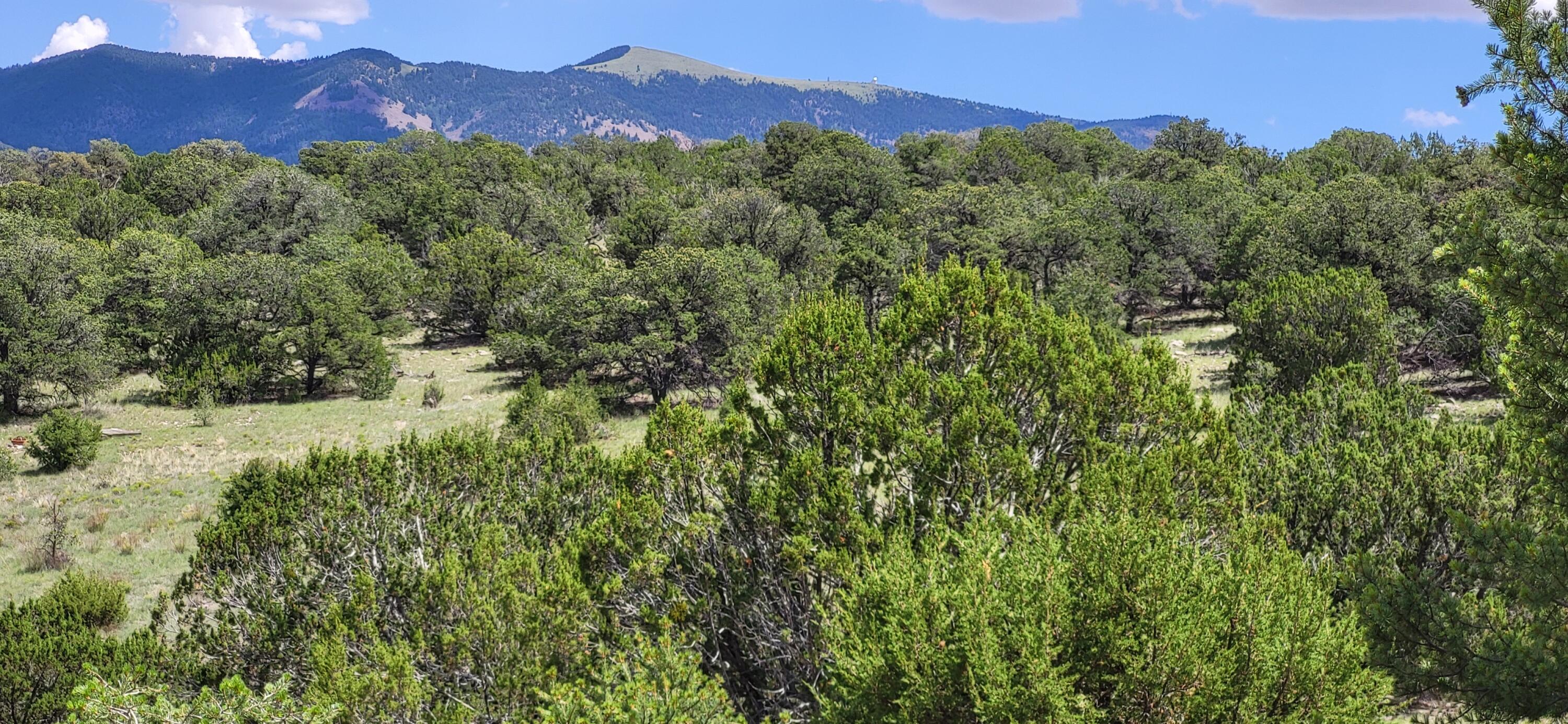 38.9 Acres Dark Canyon, Magdalena, New Mexico image 1