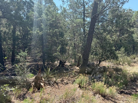 Vacant Land For Sale - 17 Andromeda Lane<br/> Tijeras, NM 87059