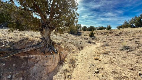 Photo of 5 Cedar Vista Court, Algodones, NM 87001 (MLS # 1100694)