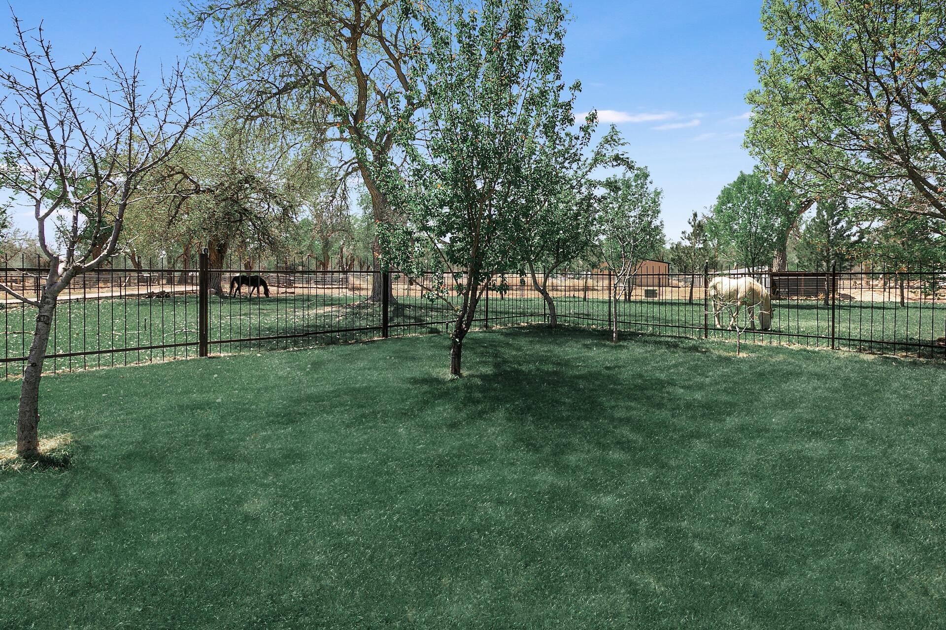7 Wildwood Lane, Peralta, New Mexico image 2