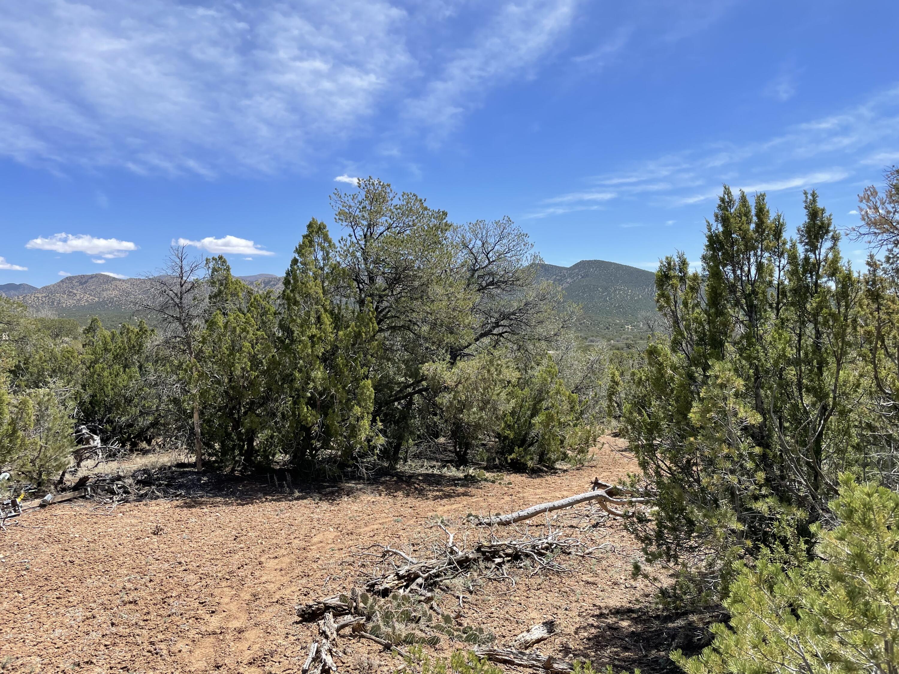 31 Kiva Court, Sandia Park, New Mexico image 9