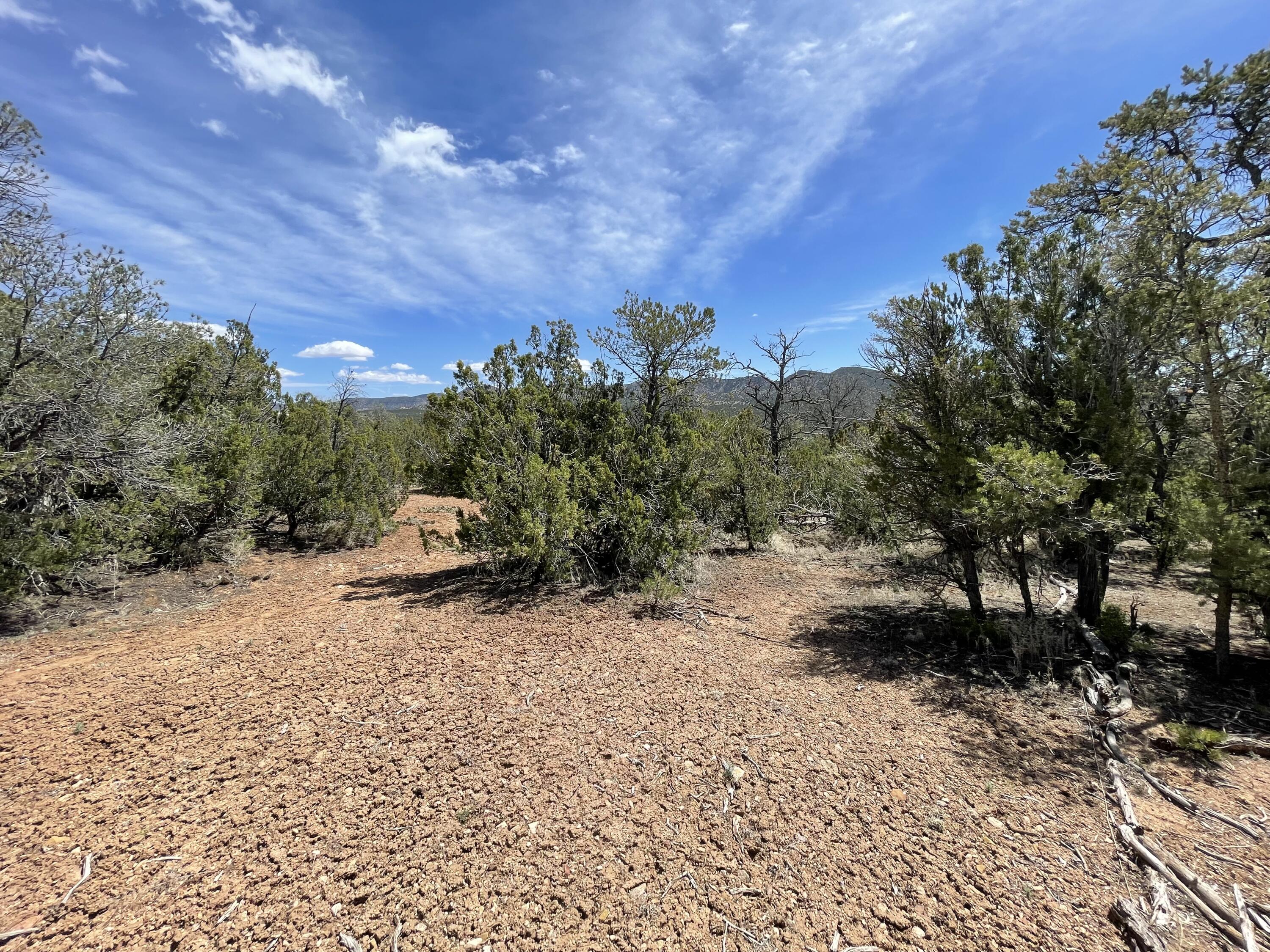 31 Kiva Court, Sandia Park, New Mexico image 4