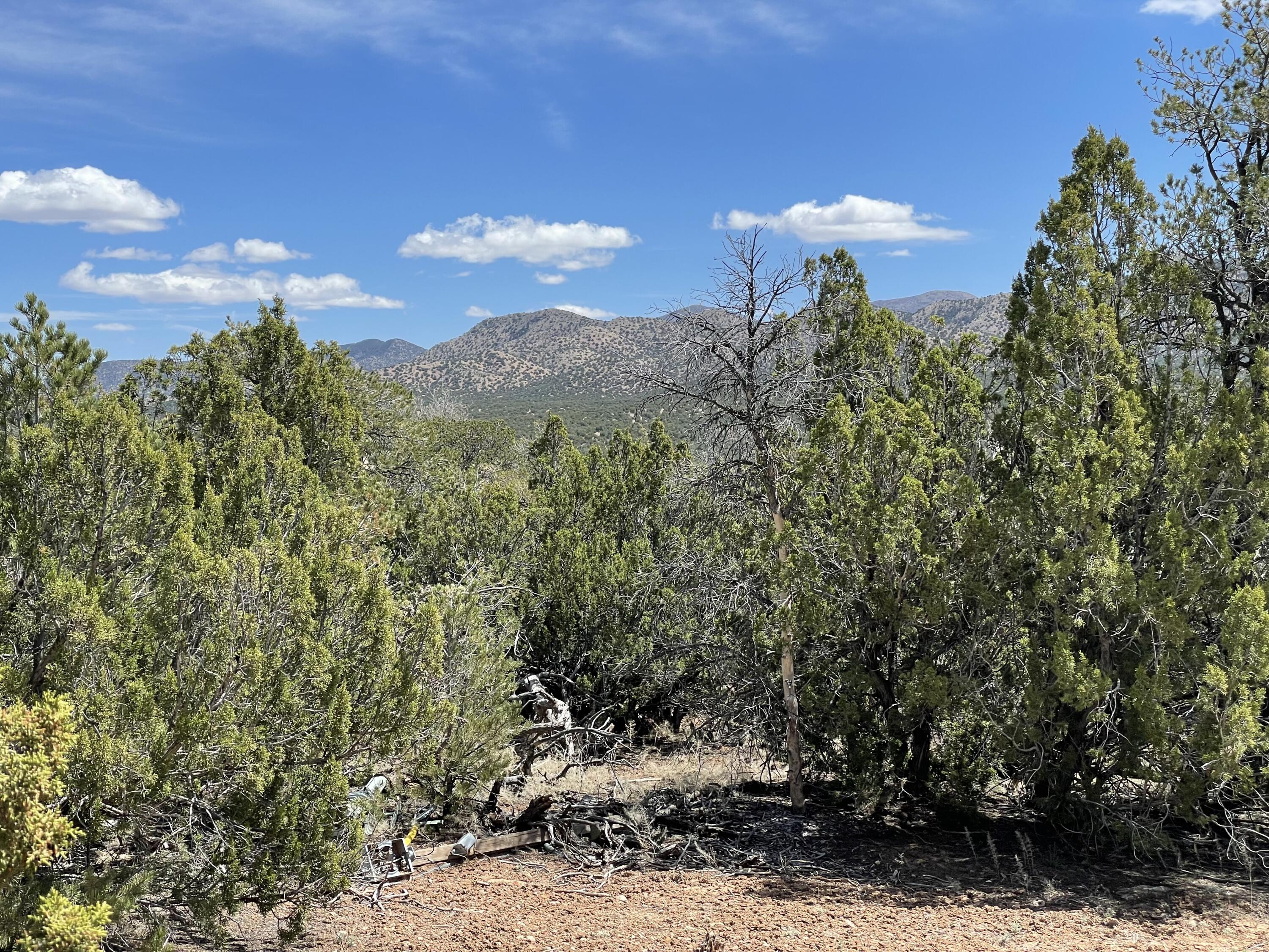 31 Kiva Court, Sandia Park, New Mexico image 8