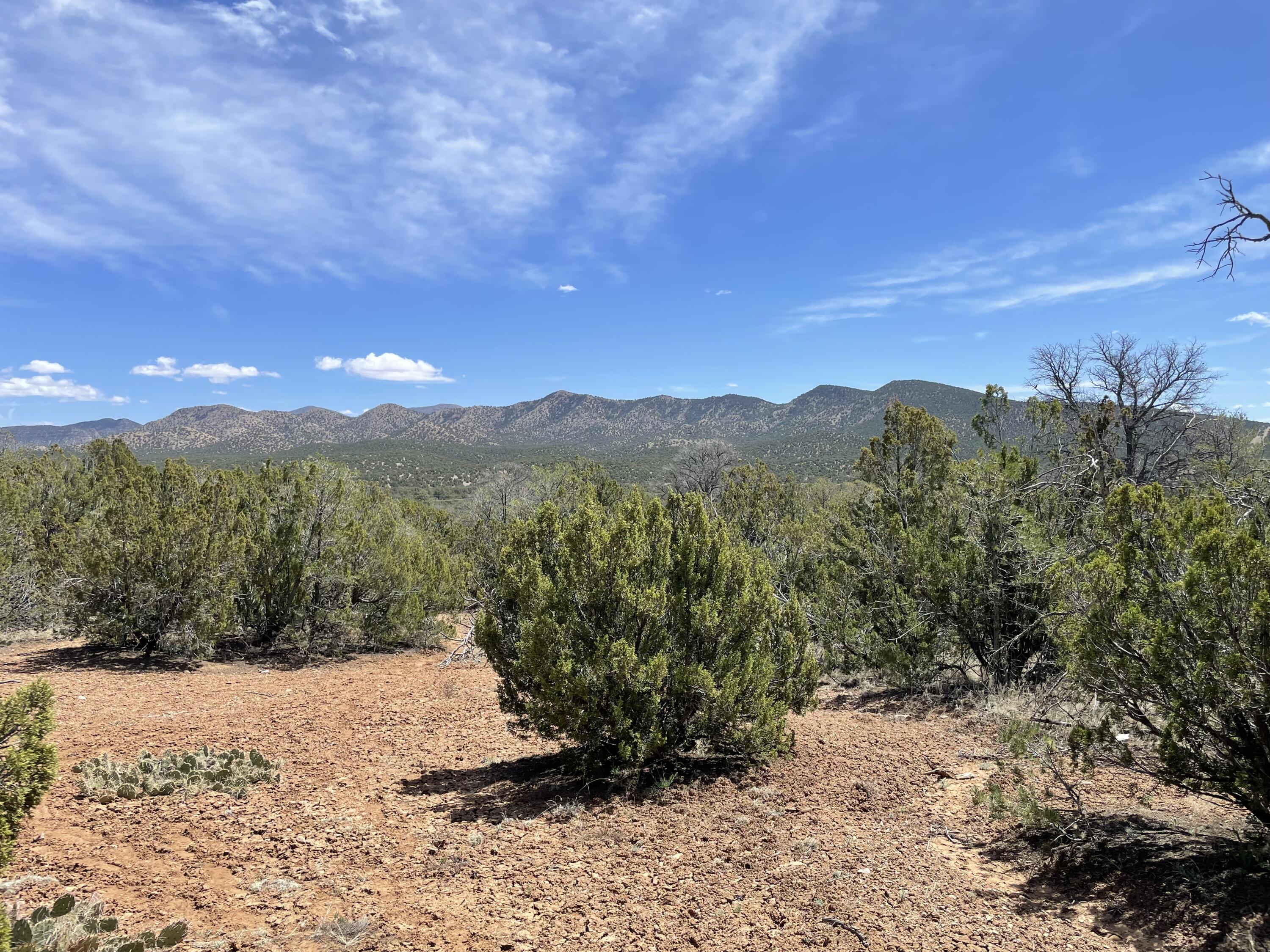 31 Kiva Court, Sandia Park, New Mexico image 10