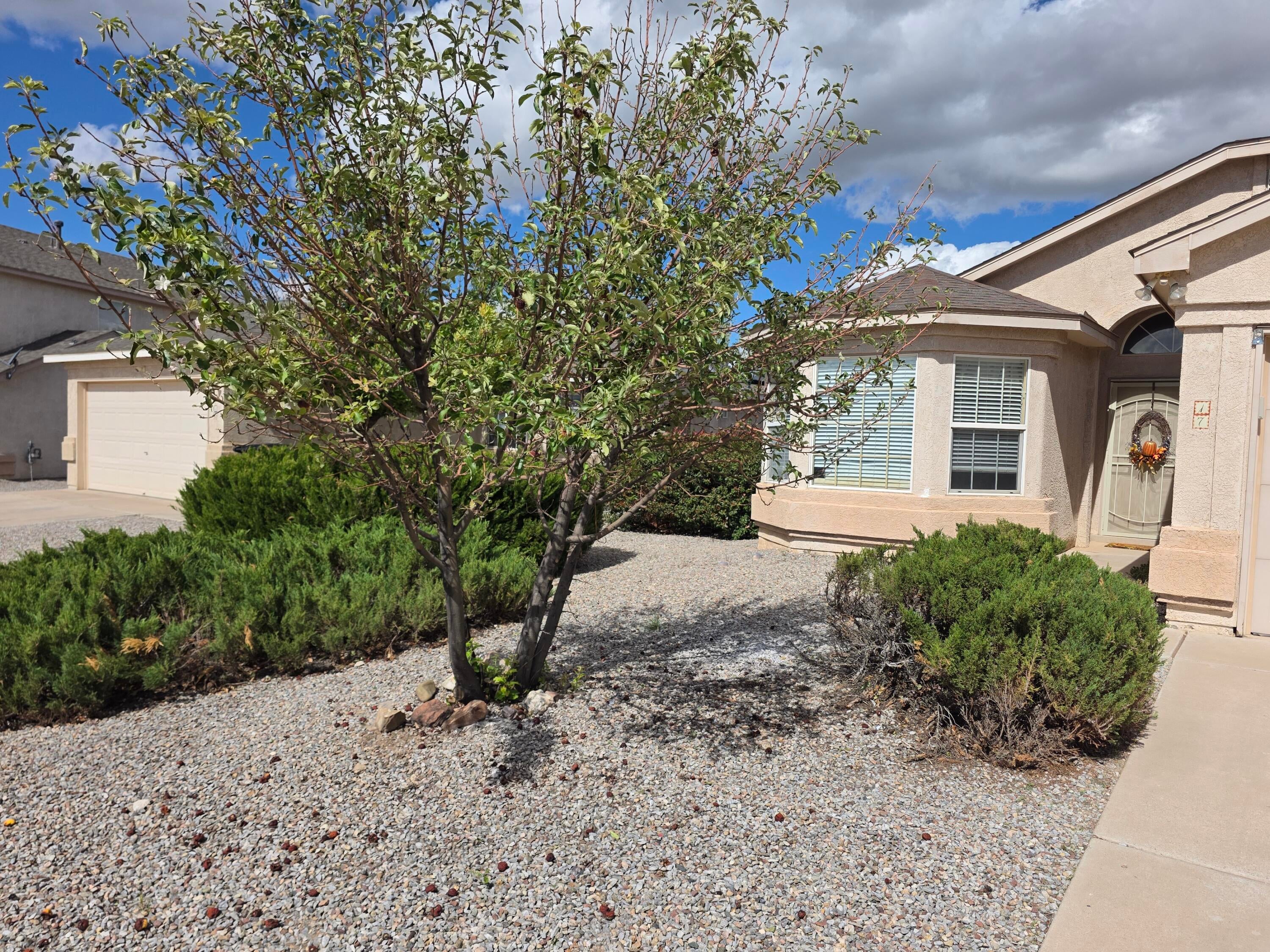 17 Violeta Place
