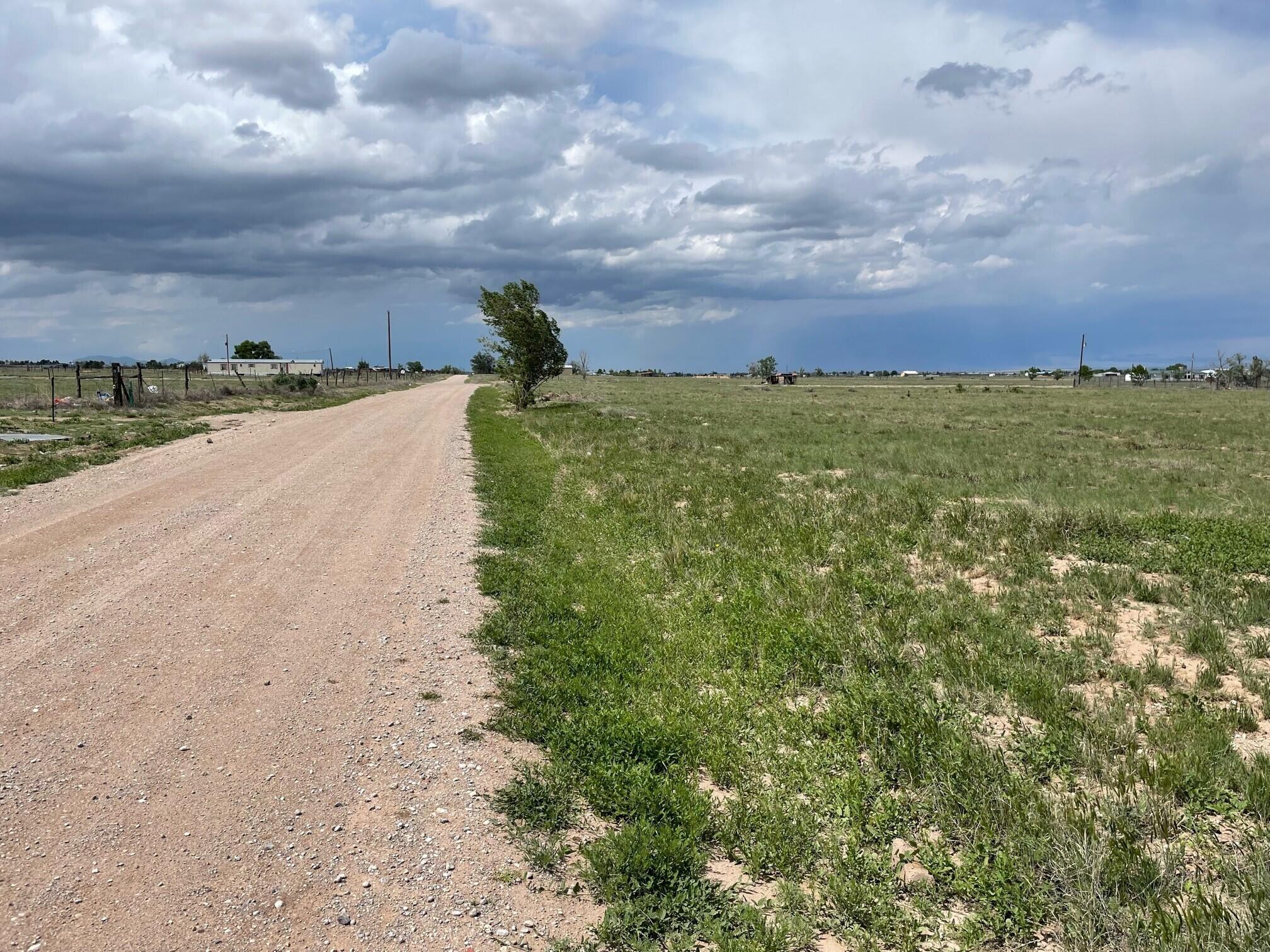 Clara Lane, McIntosh, New Mexico image 4