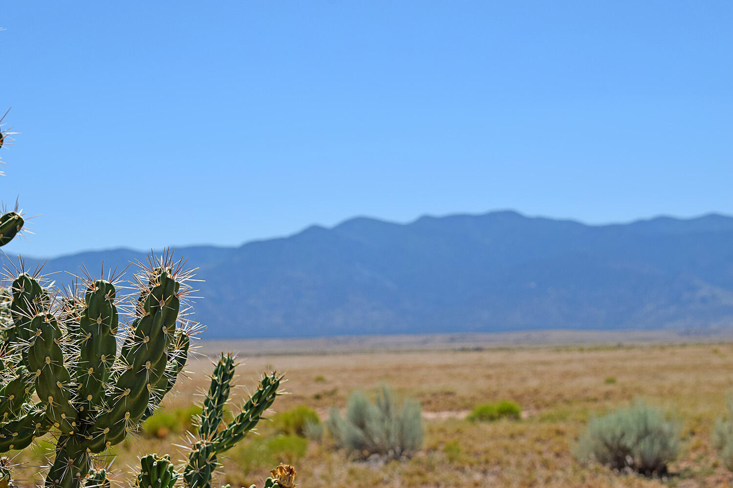 Lot 206 Rancho Rio Grande #16E, Los Lunas, New Mexico image 20