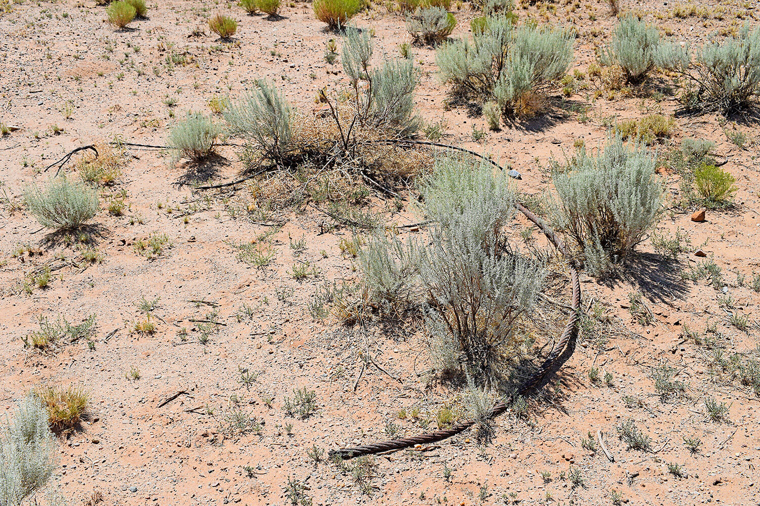 Lot 206 Rancho Rio Grande #16E, Los Lunas, New Mexico image 5