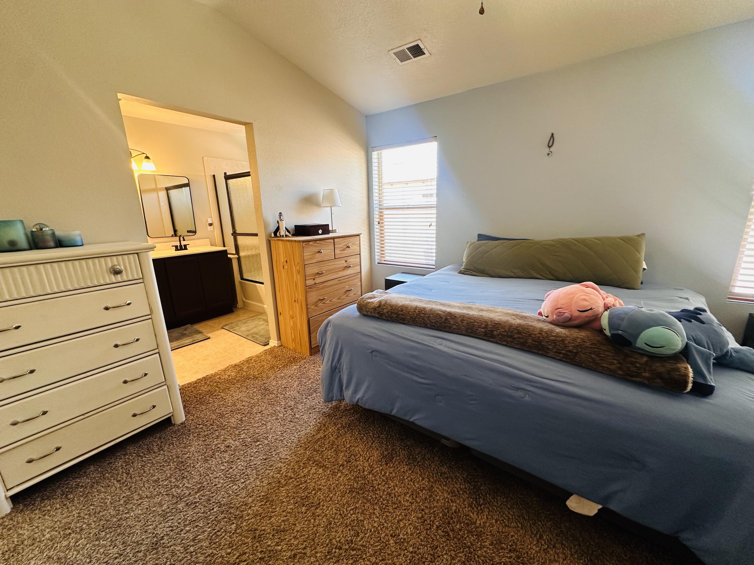 6275 Nueva Espana Road, Albuquerque, New Mexico image 10
