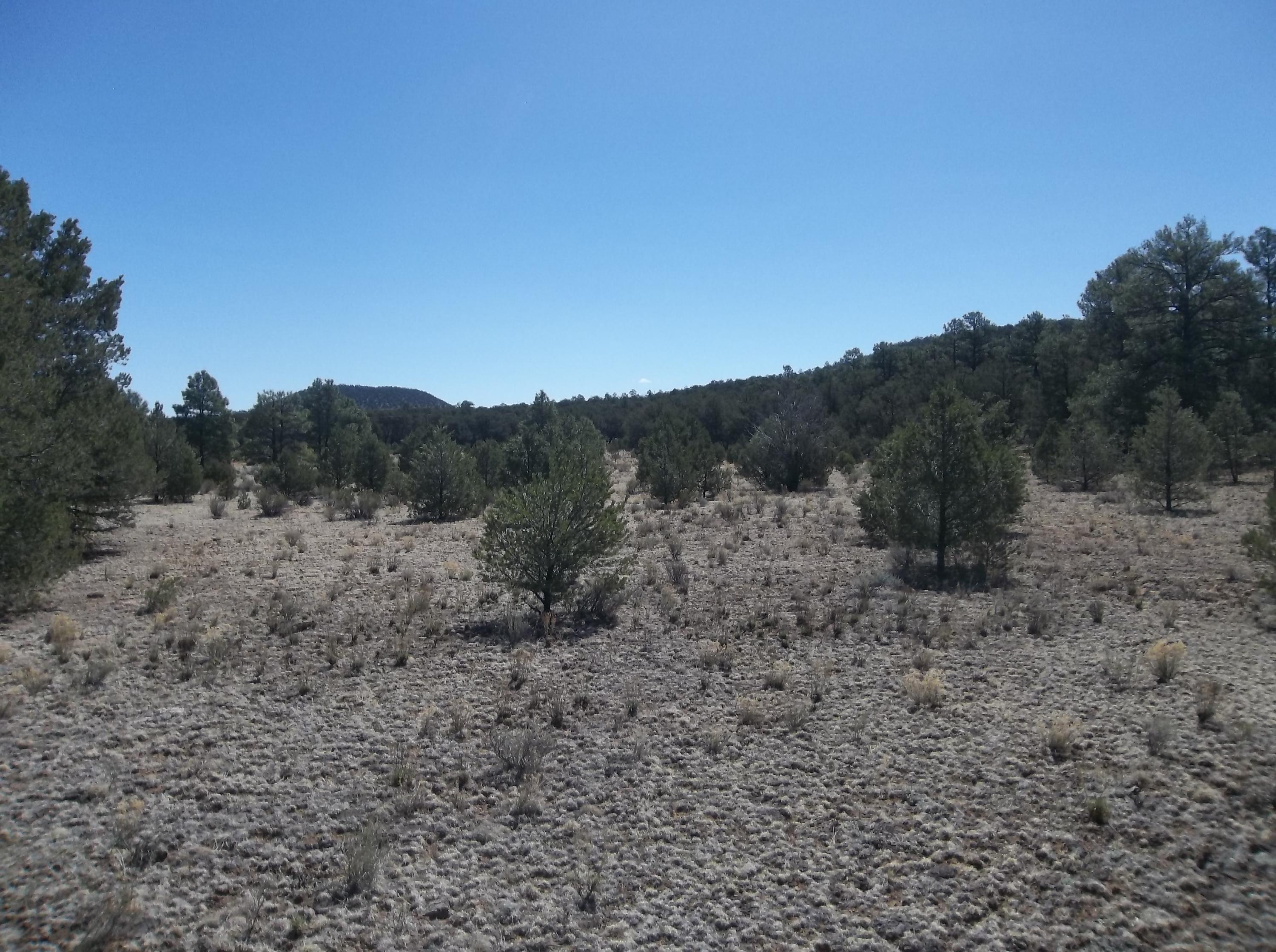 Cerro Leonides - Tierra Verde Road, Ramah, New Mexico image 30