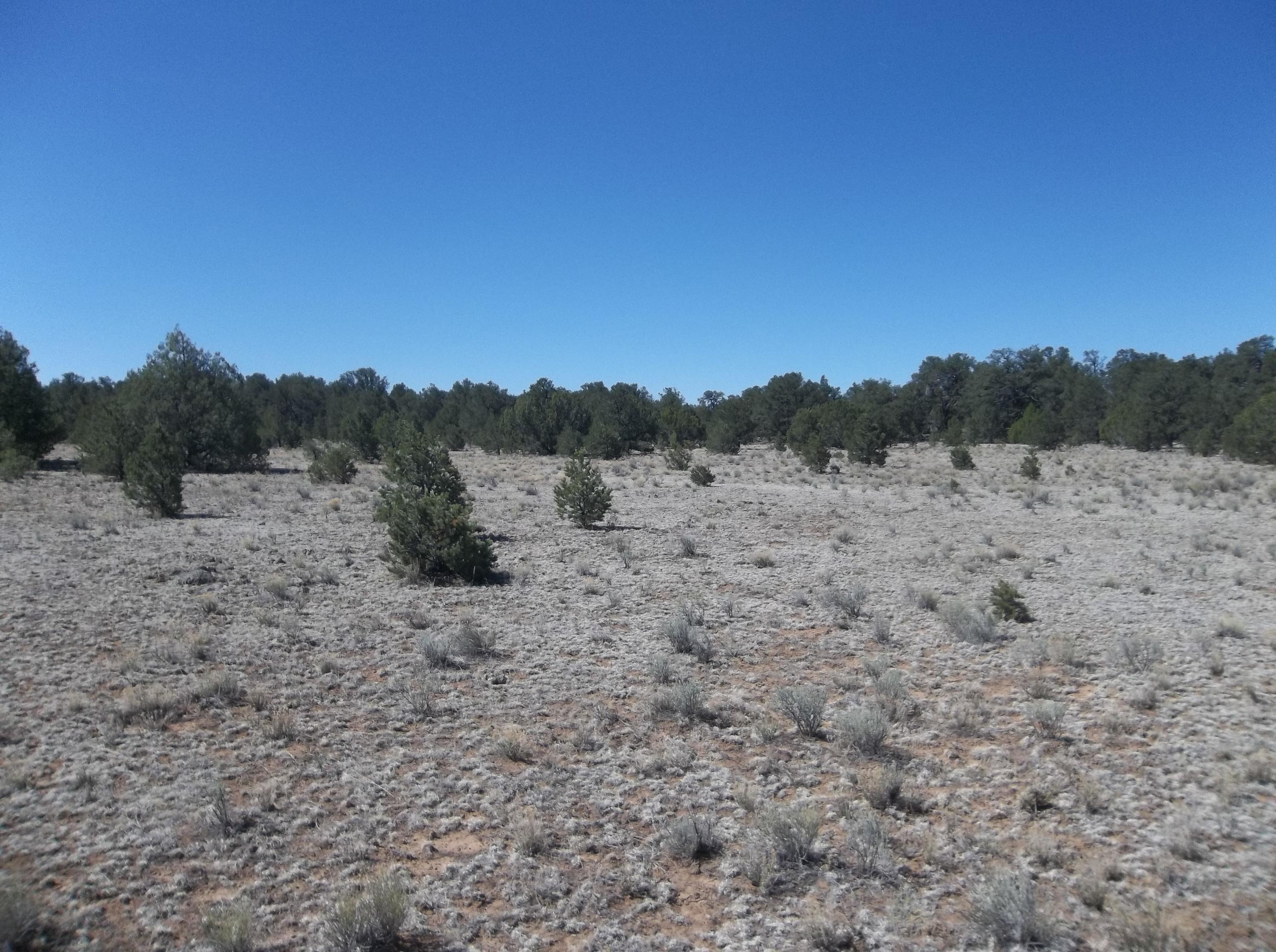 Cerro Leonides - Tierra Verde Road, Ramah, New Mexico image 5