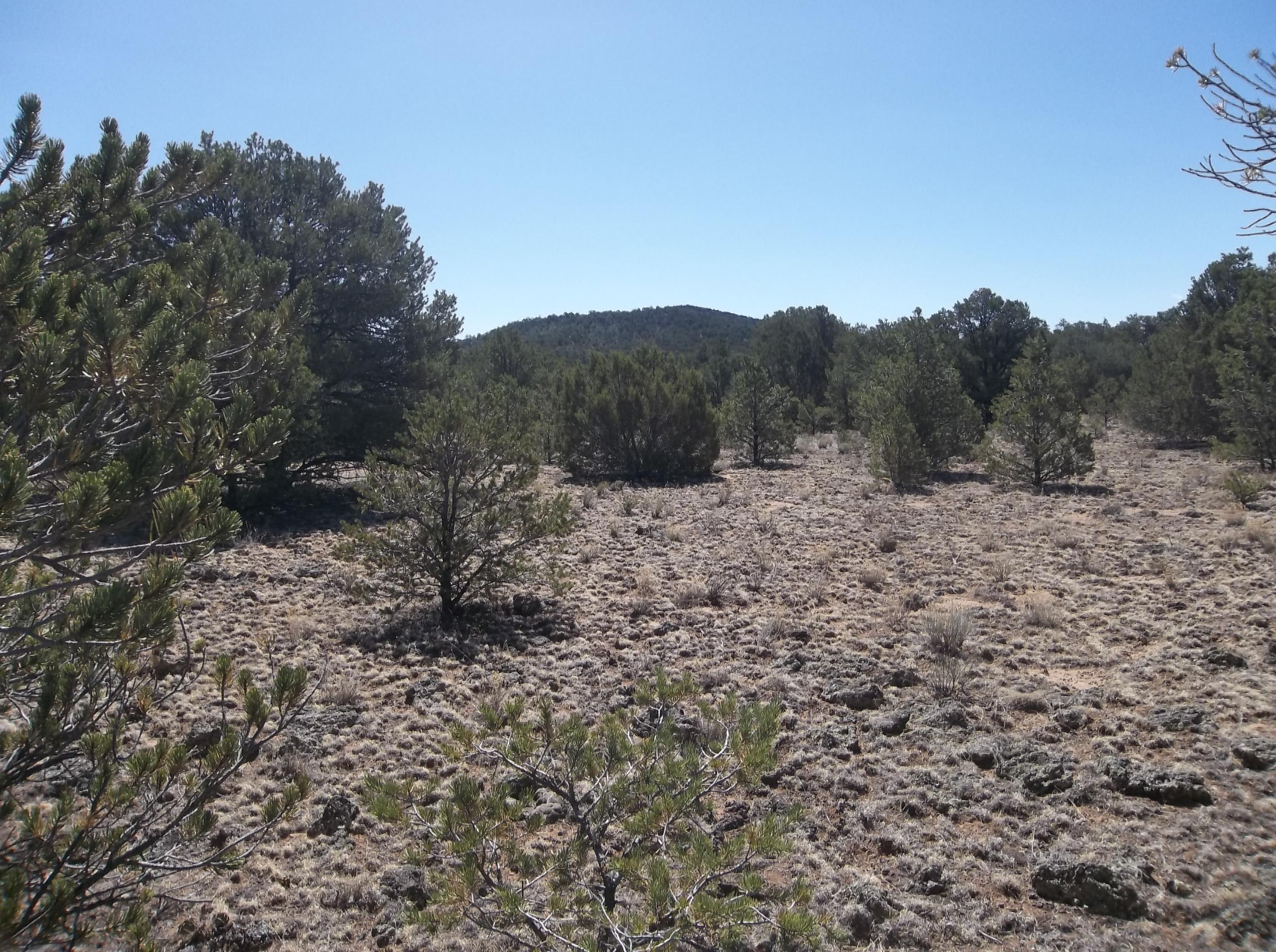 Cerro Leonides - Tierra Verde Road, Ramah, New Mexico image 8