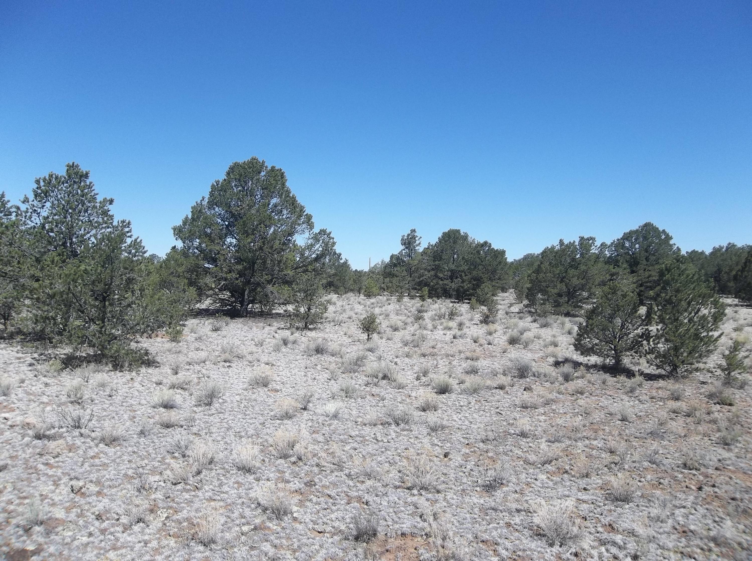 Cerro Leonides - Tierra Verde Road, Ramah, New Mexico image 37