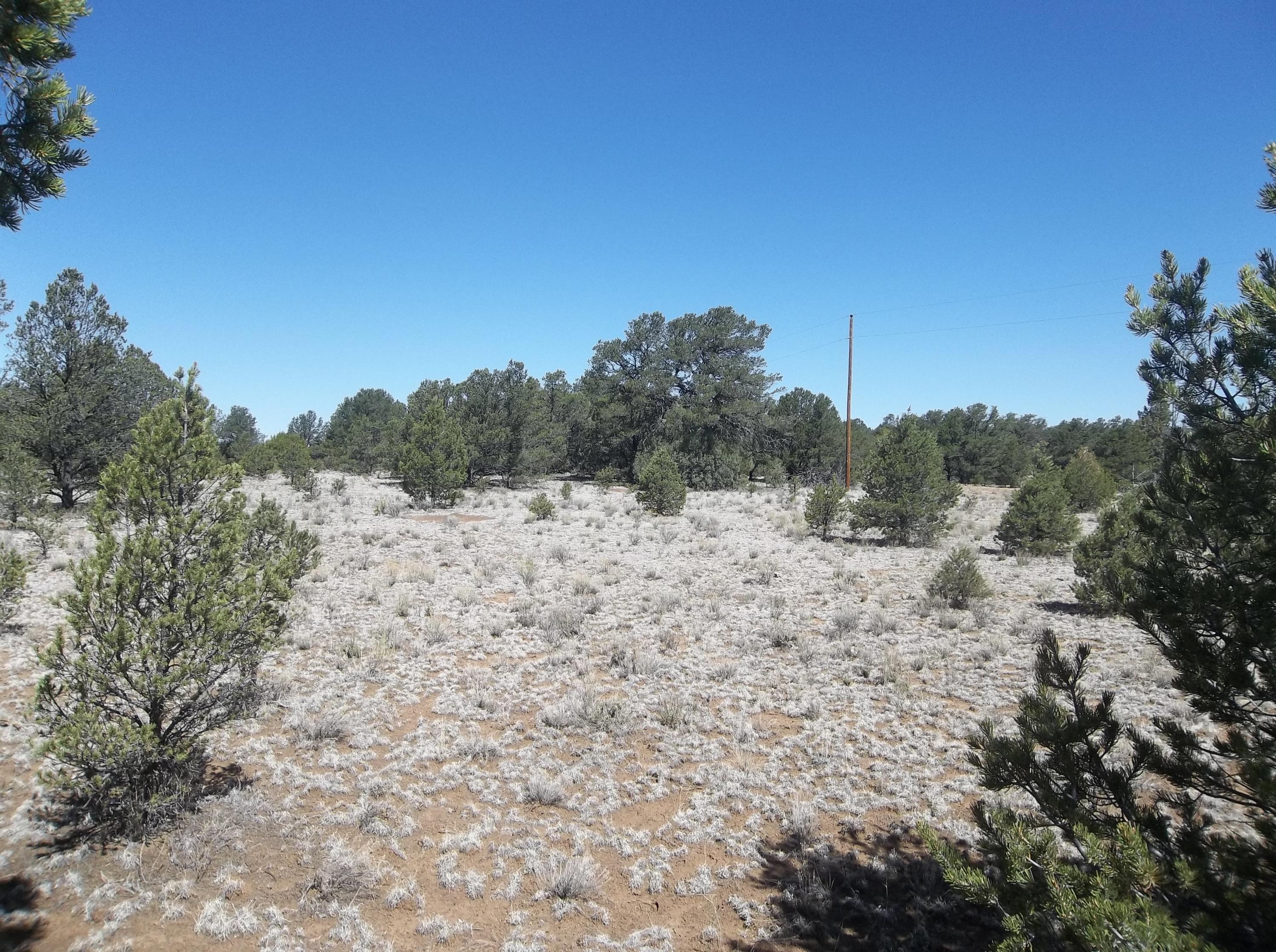 Cerro Leonides - Tierra Verde Road, Ramah, New Mexico image 21