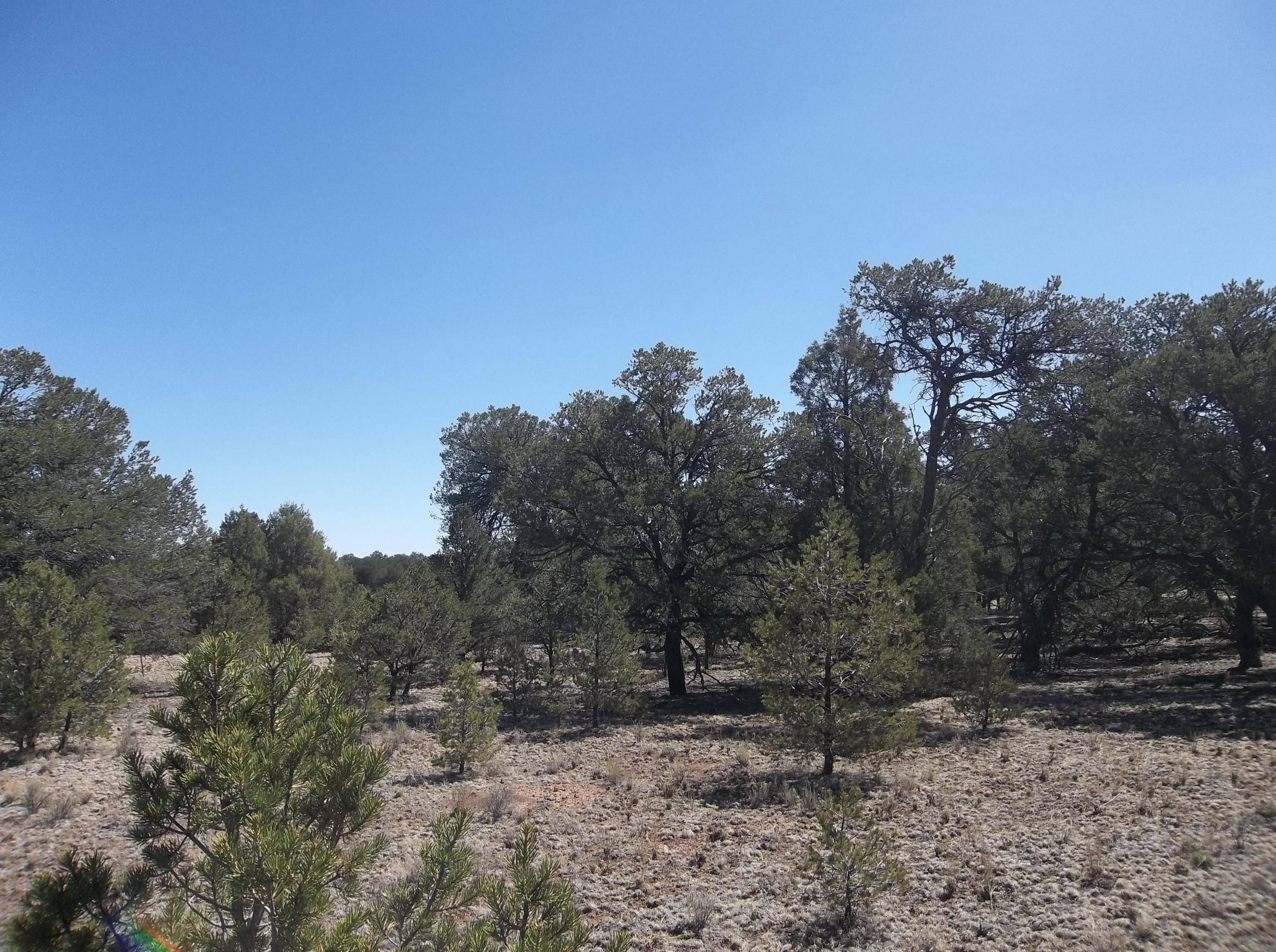 Cerro Leonides - Tierra Verde Road, Ramah, New Mexico image 36