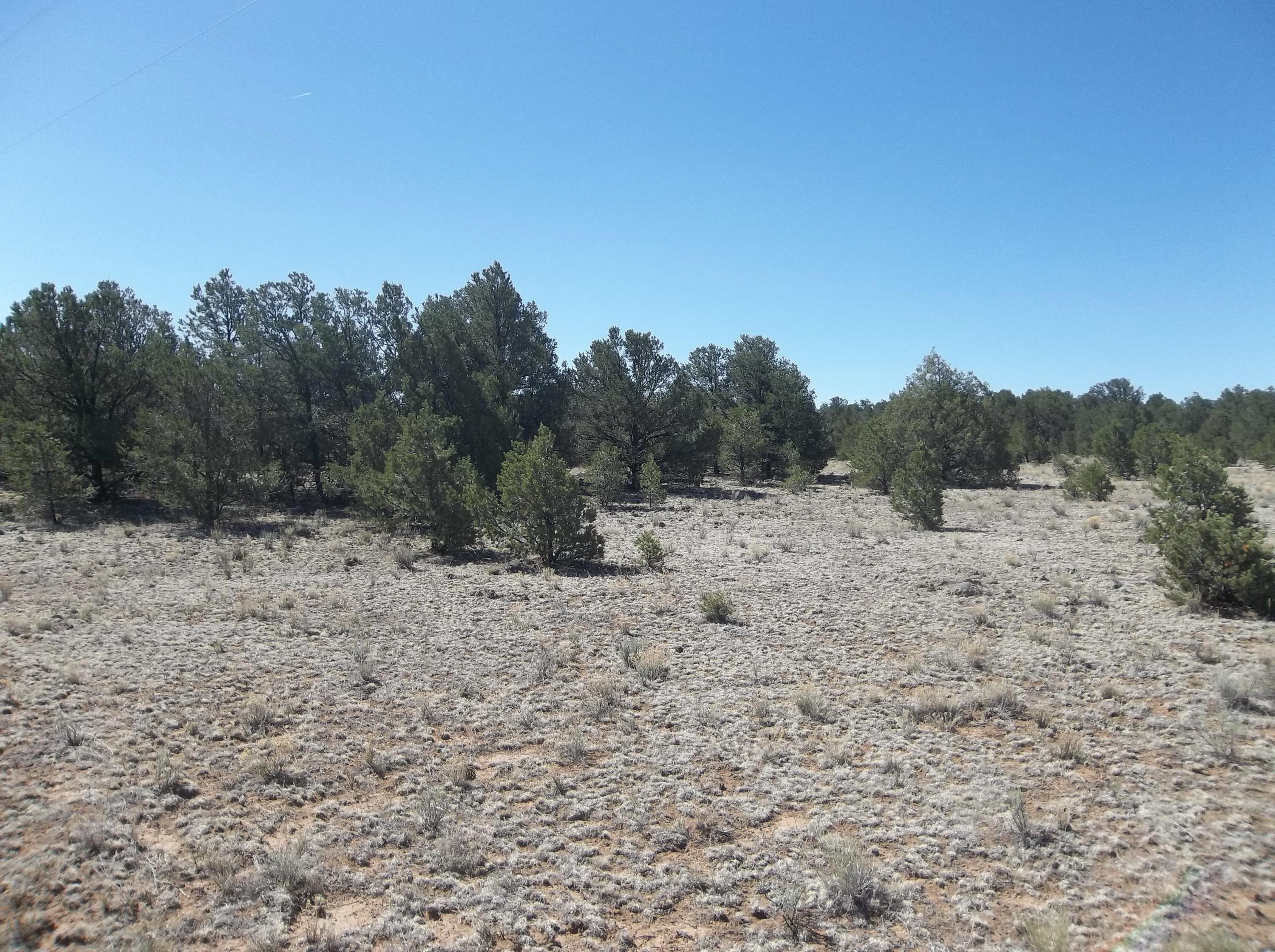 Cerro Leonides - Tierra Verde Road, Ramah, New Mexico image 4