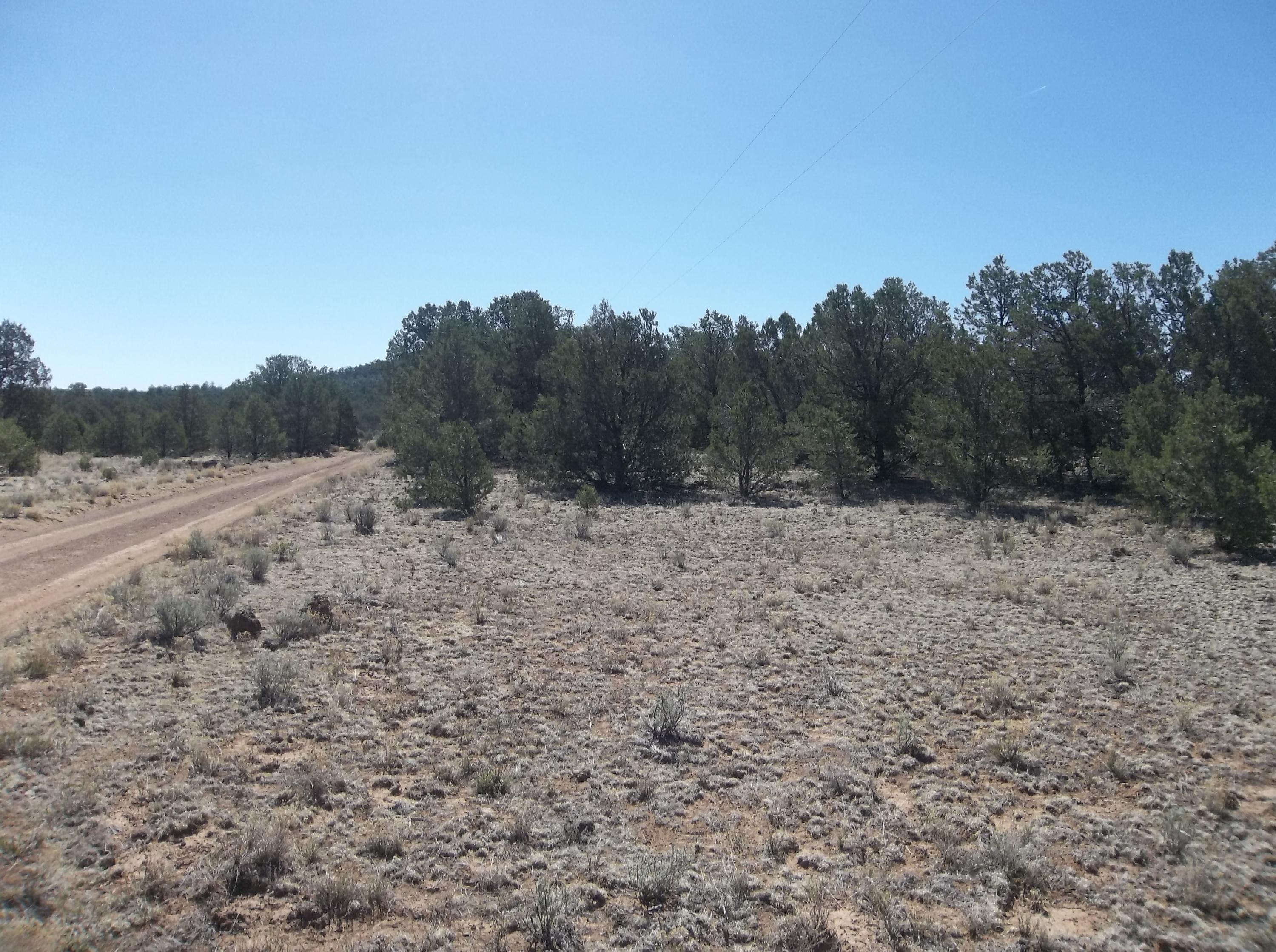 Cerro Leonides - Tierra Verde Road, Ramah, New Mexico image 1