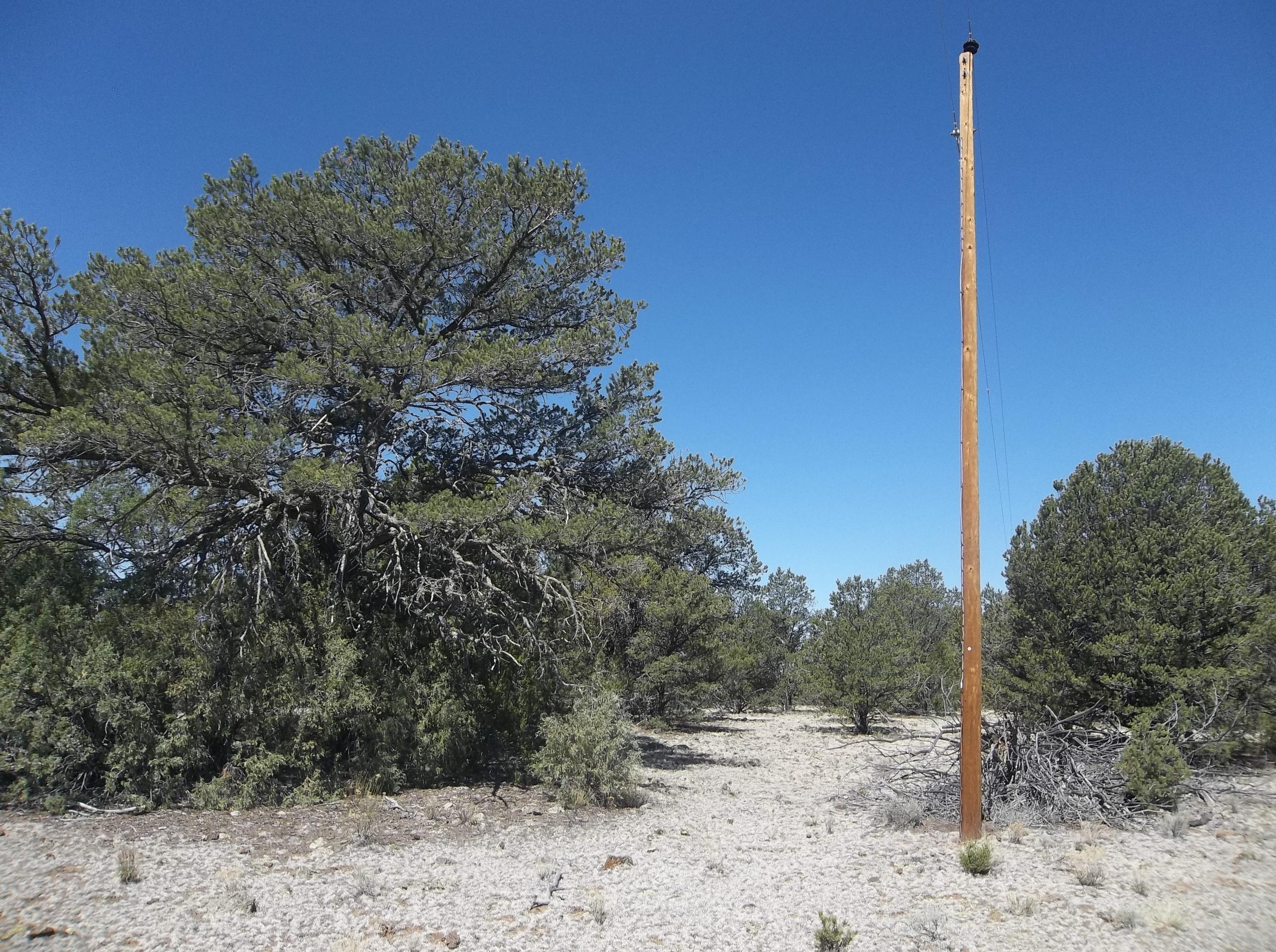 Cerro Leonides - Tierra Verde Road, Ramah, New Mexico image 3