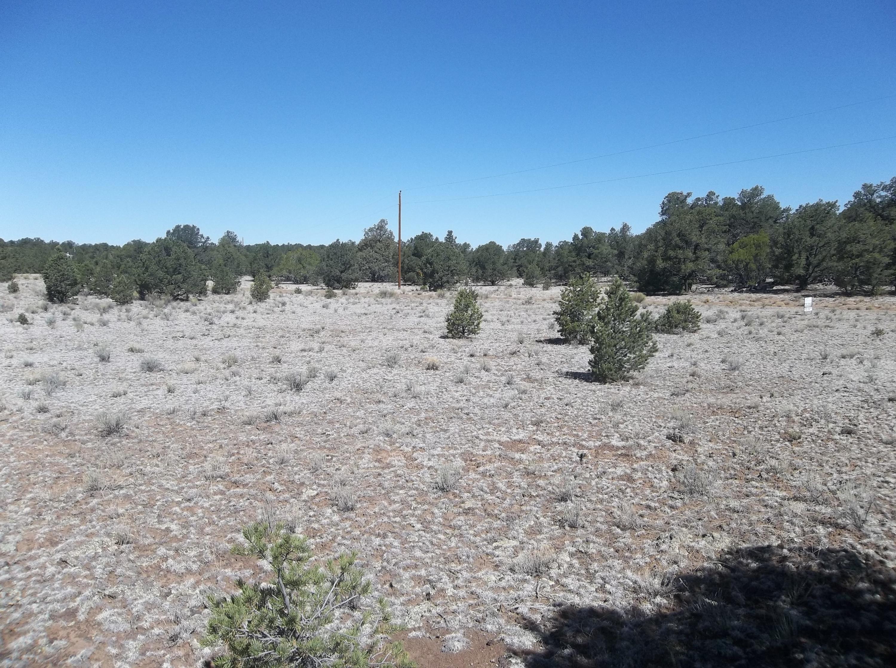 Cerro Leonides - Tierra Verde Road, Ramah, New Mexico image 6