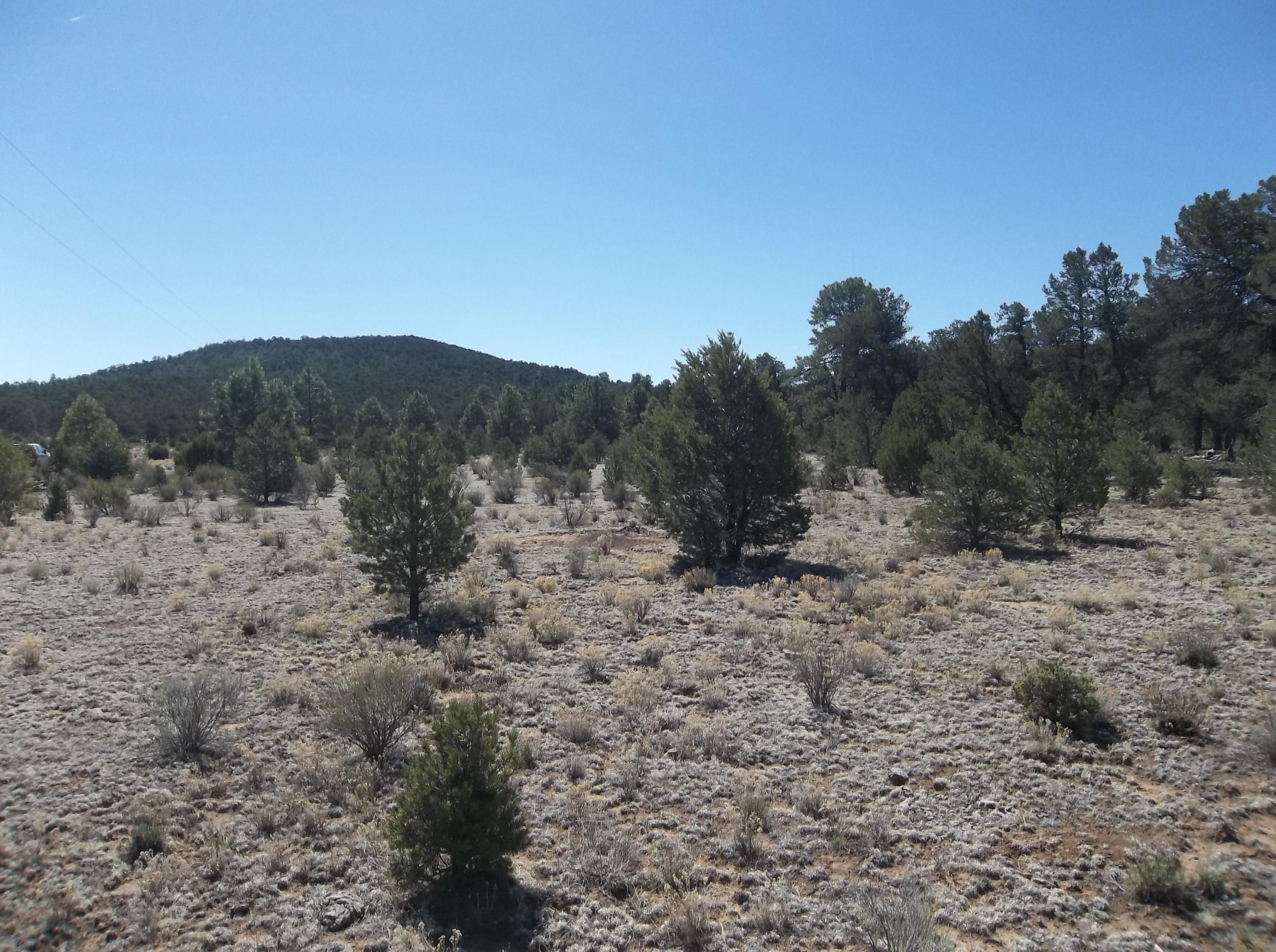 Cerro Leonides - Tierra Verde Road, Ramah, New Mexico image 17