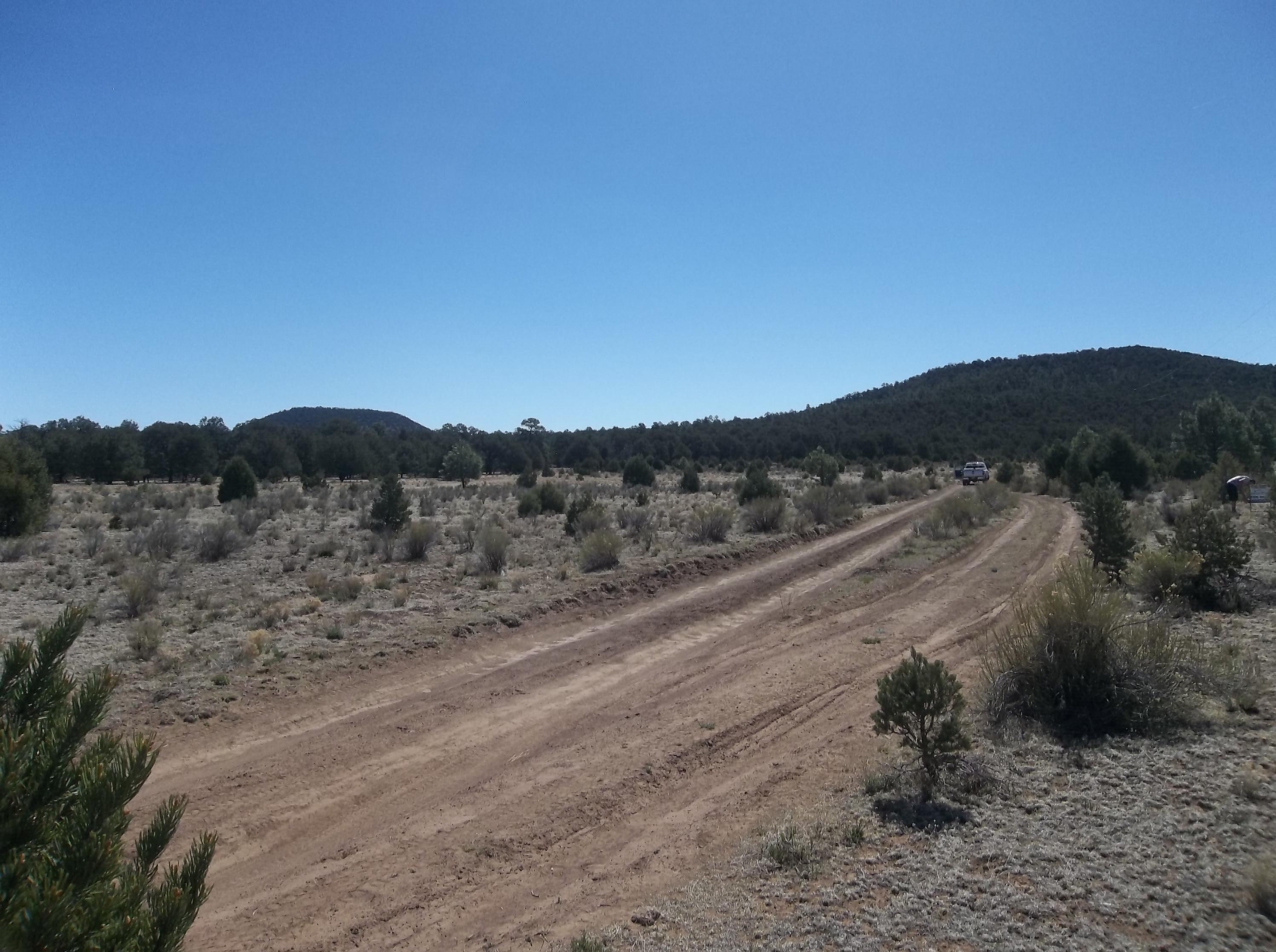 Cerro Leonides - Tierra Verde Road, Ramah, New Mexico image 38