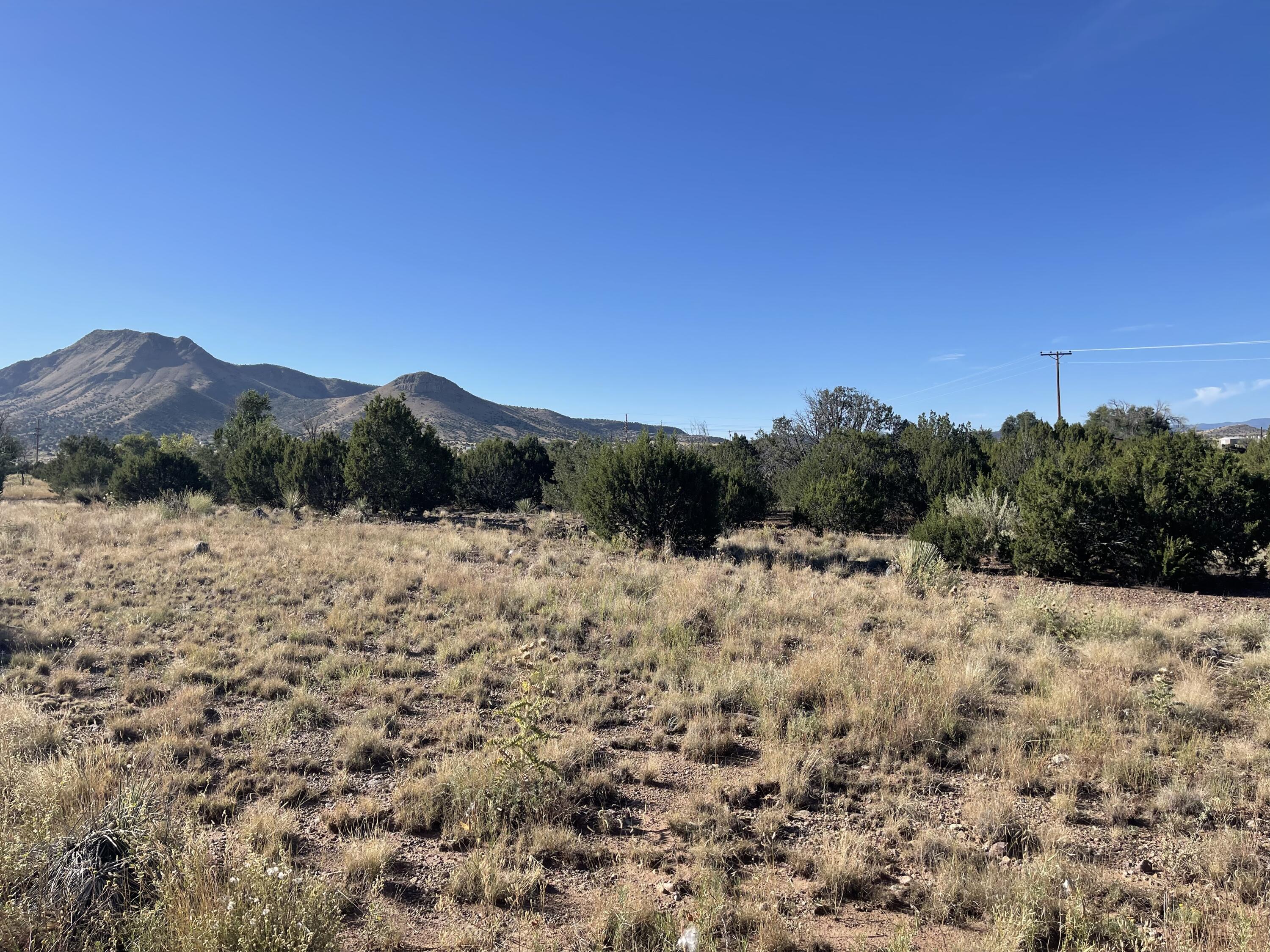 Phoenix Road, Magdalena, New Mexico image 16