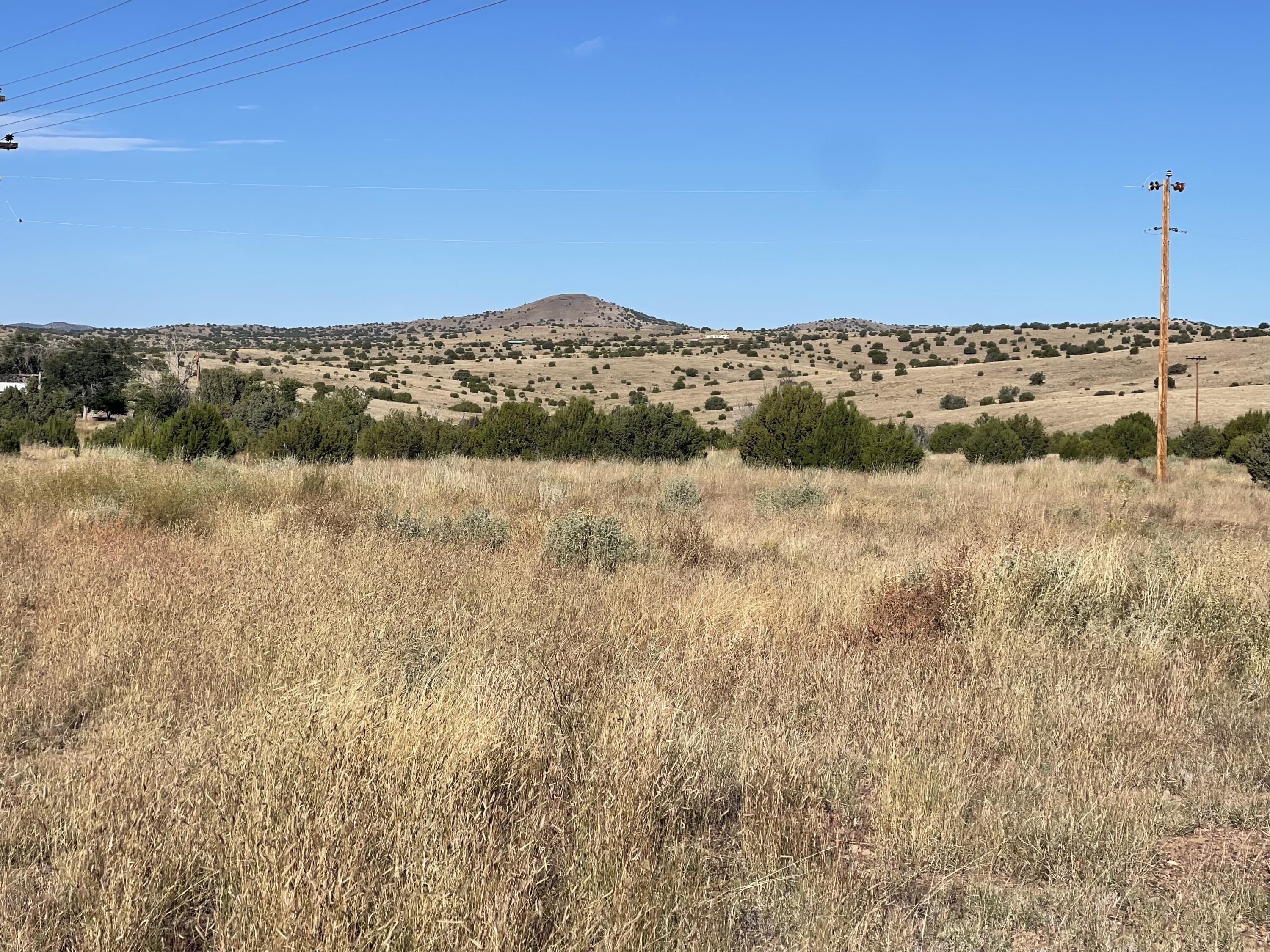 Phoenix Road, Magdalena, New Mexico image 31