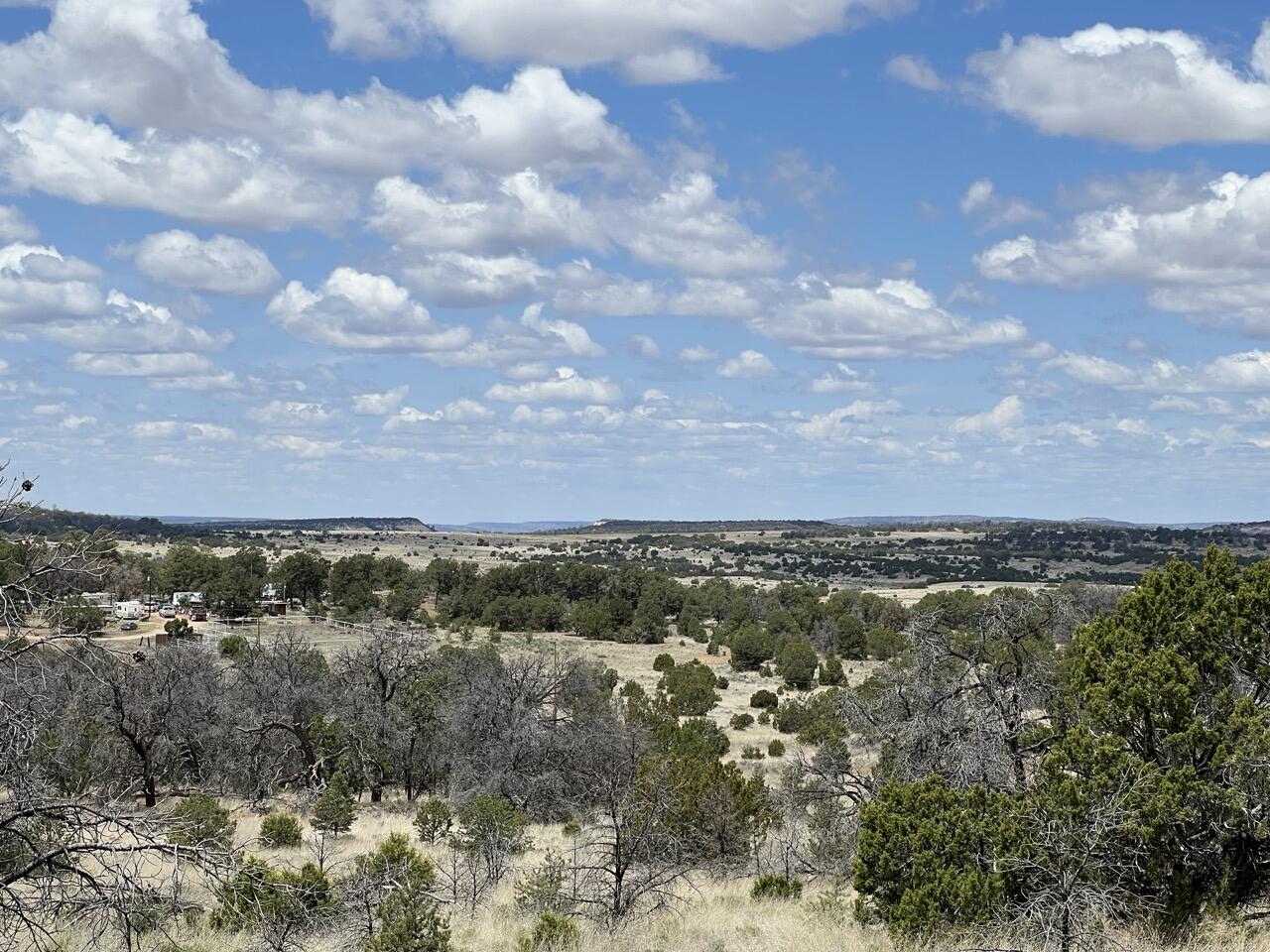 Lot 306 Edgewood Drive, Ramah, New Mexico image 17