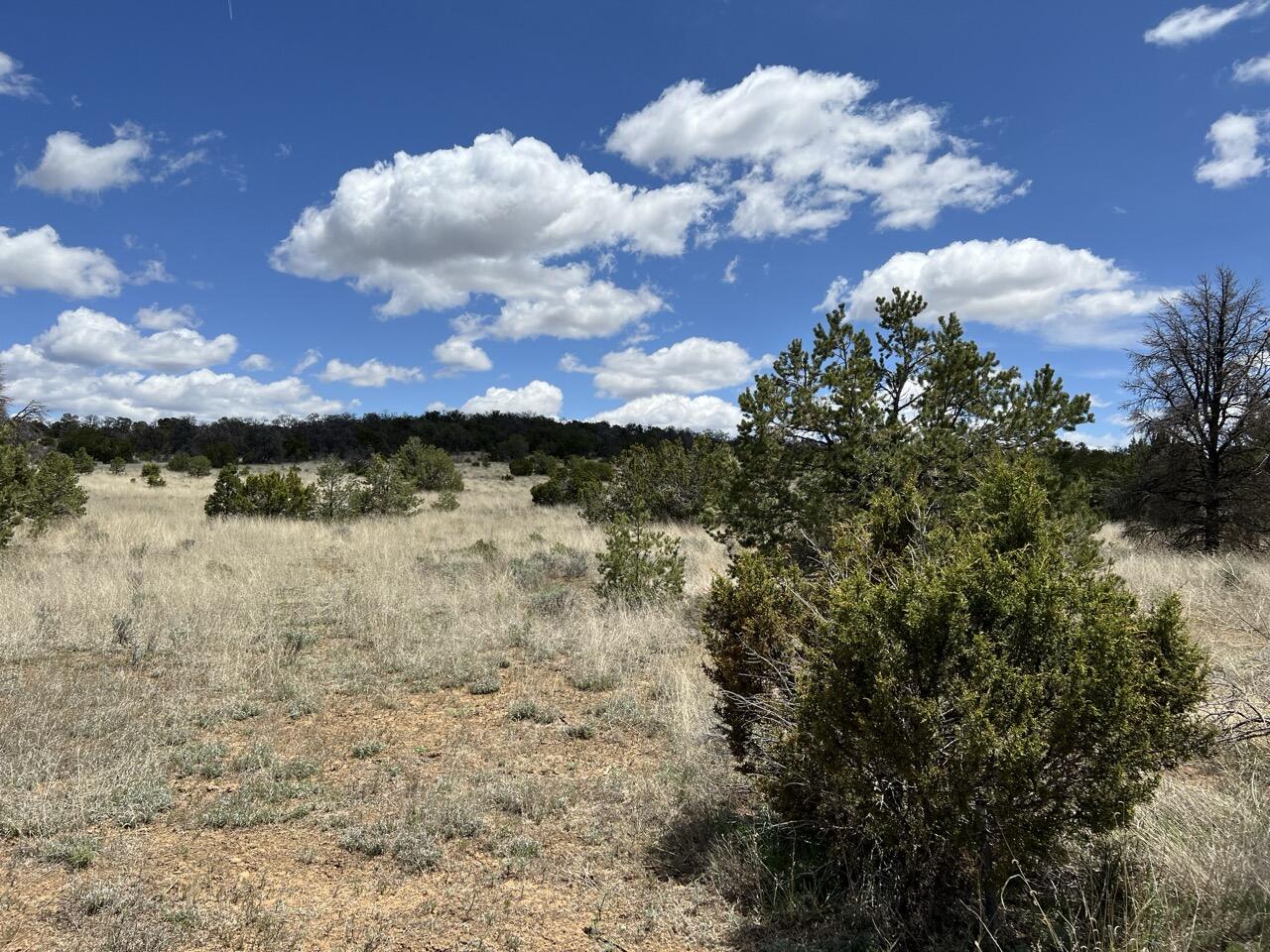 Lot 306 Edgewood Drive, Ramah, New Mexico image 26