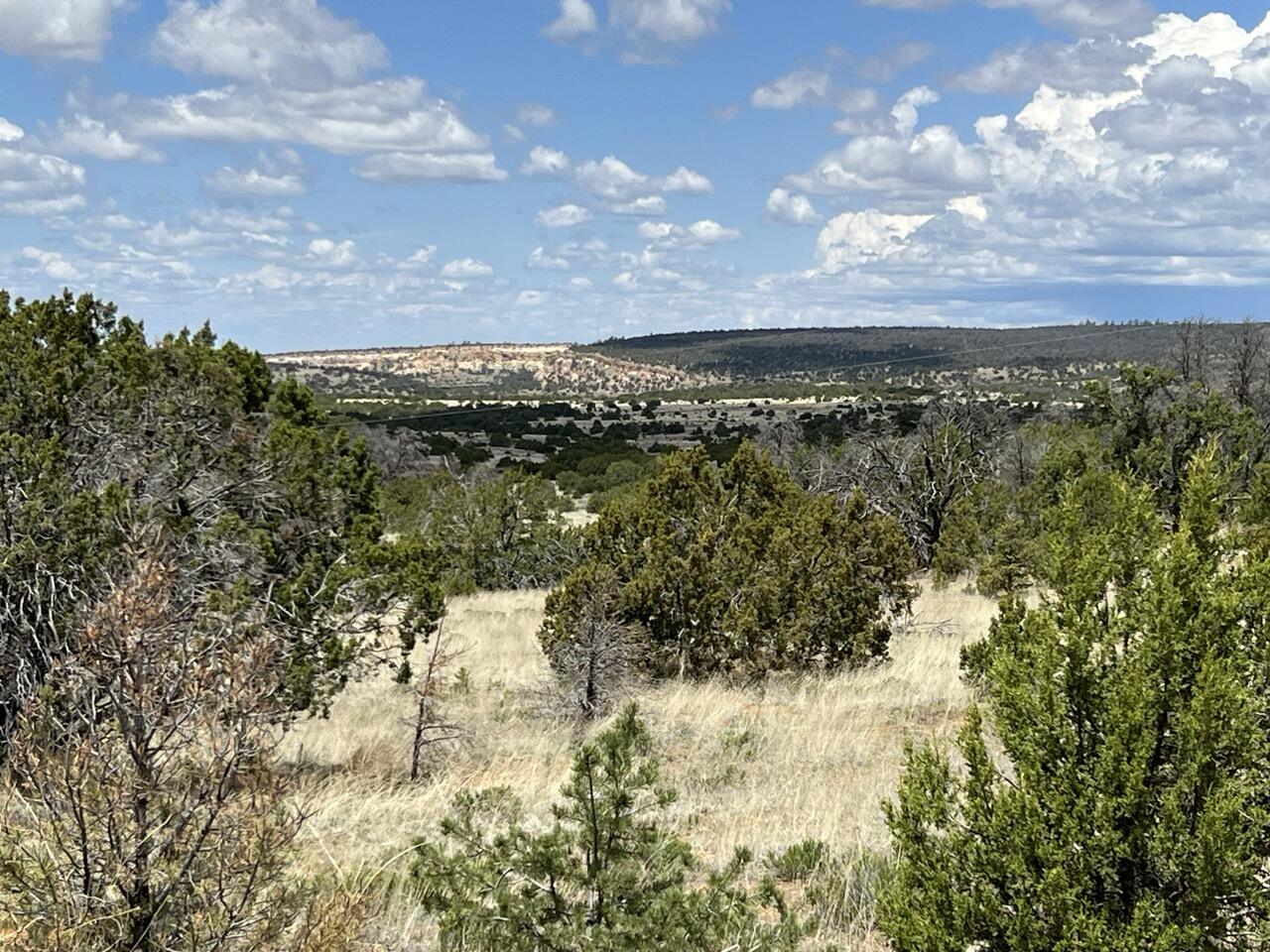 Lot 306 Edgewood Drive, Ramah, New Mexico image 1