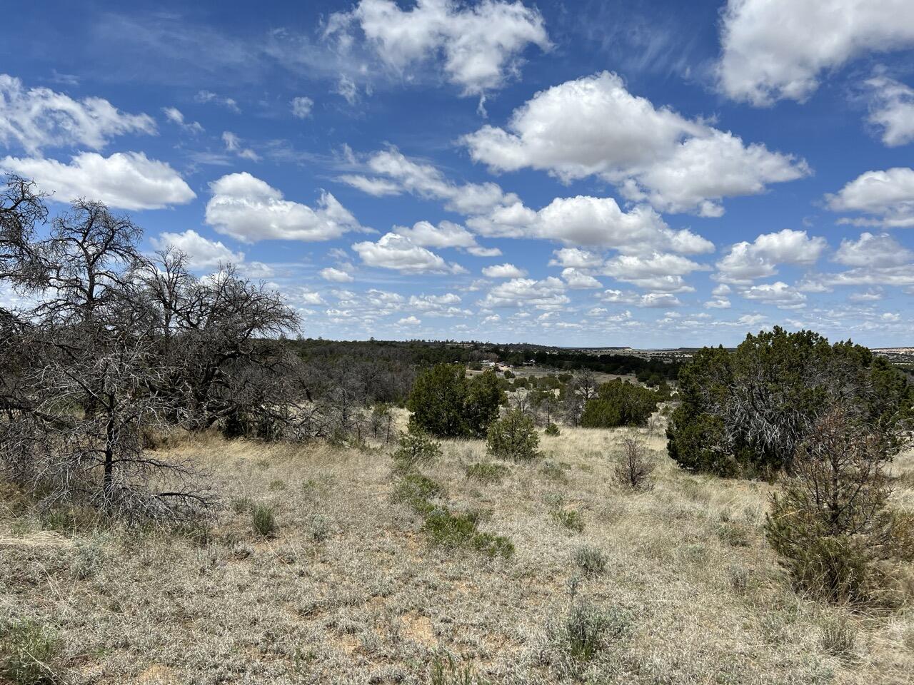 Lot 306 Edgewood Drive, Ramah, New Mexico image 13