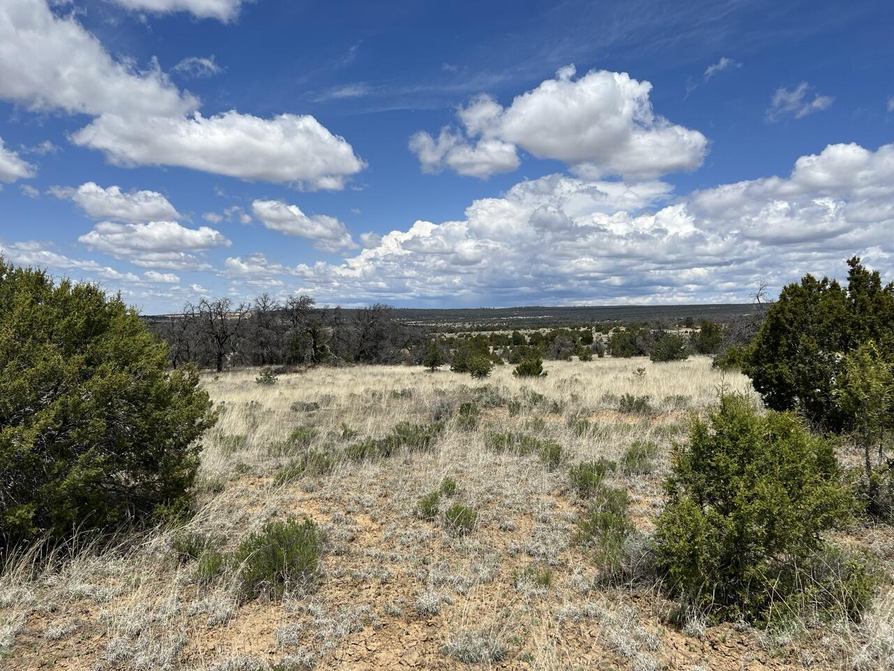 Lot 306 Edgewood Drive, Ramah, New Mexico image 18