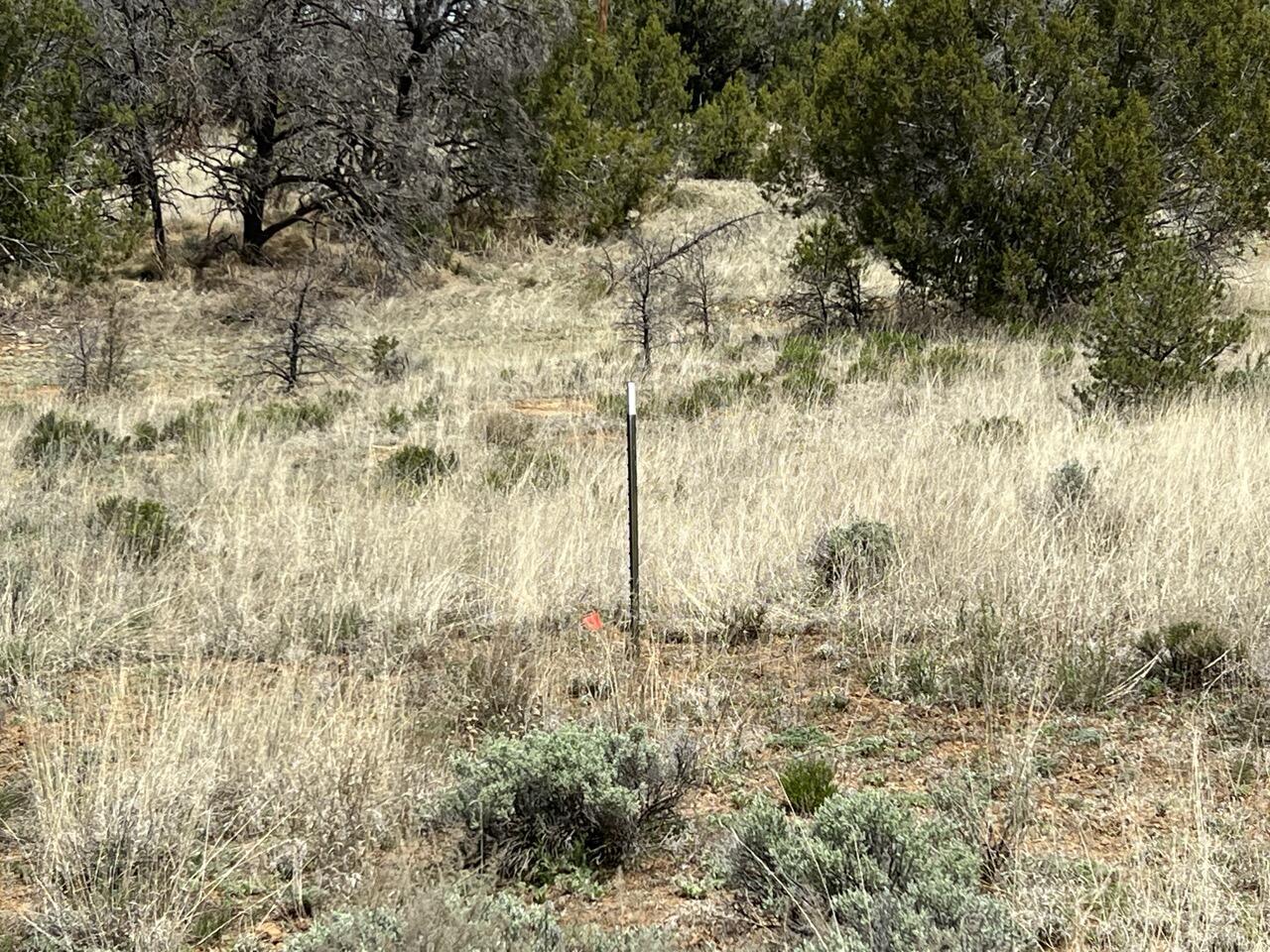 Lot 306 Edgewood Drive, Ramah, New Mexico image 15